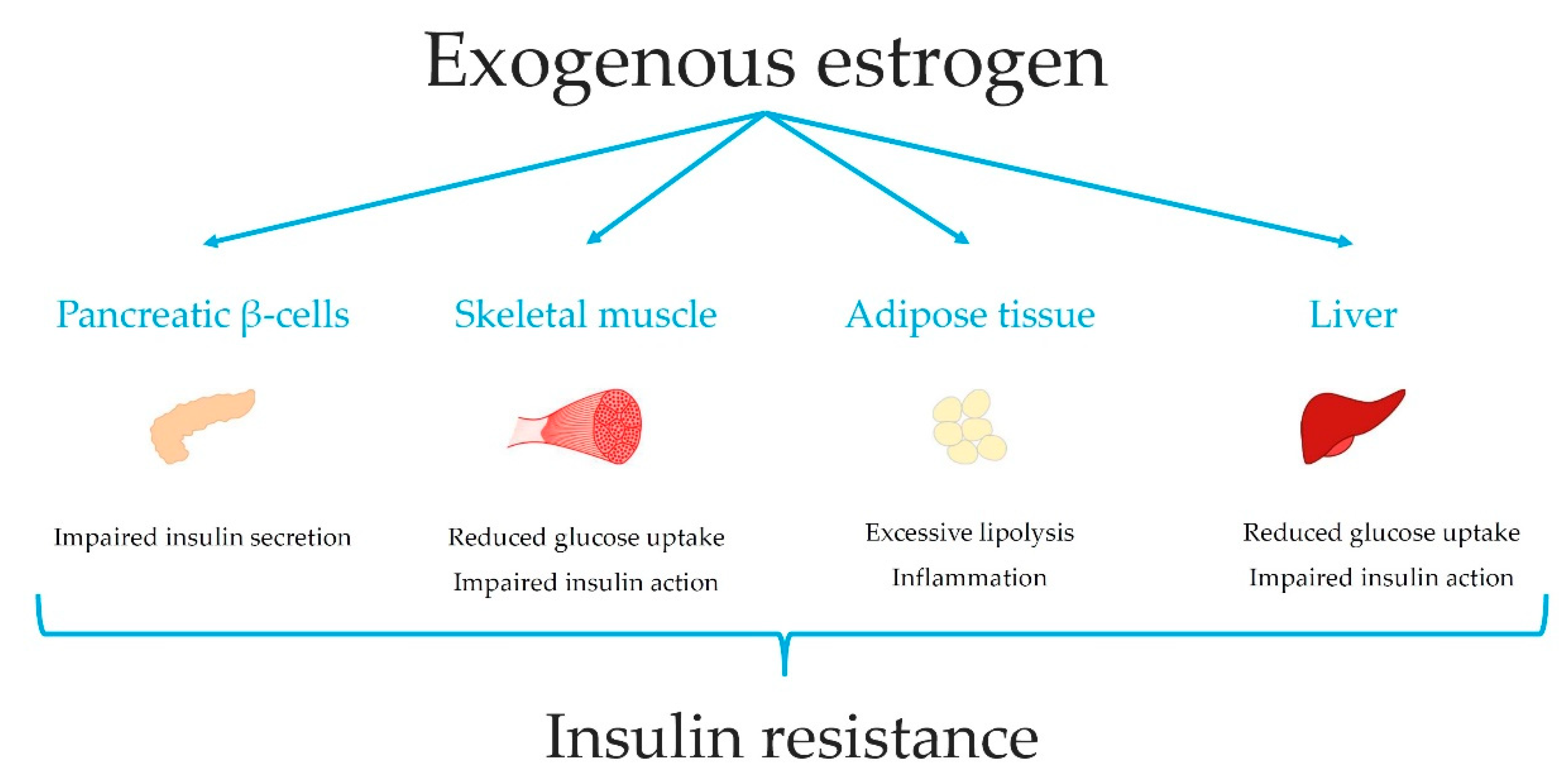 Biomedicines 11 00670 g002 Biomedicines 11 00670 g002