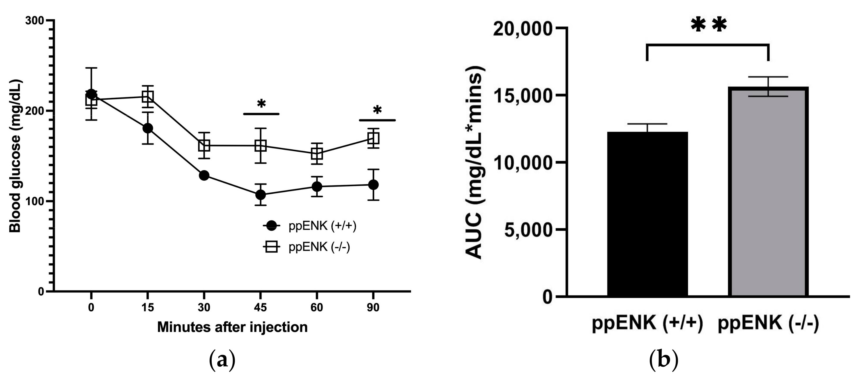 Biomedicines 11 00671 g004 Biomedicines 11 00671 g004