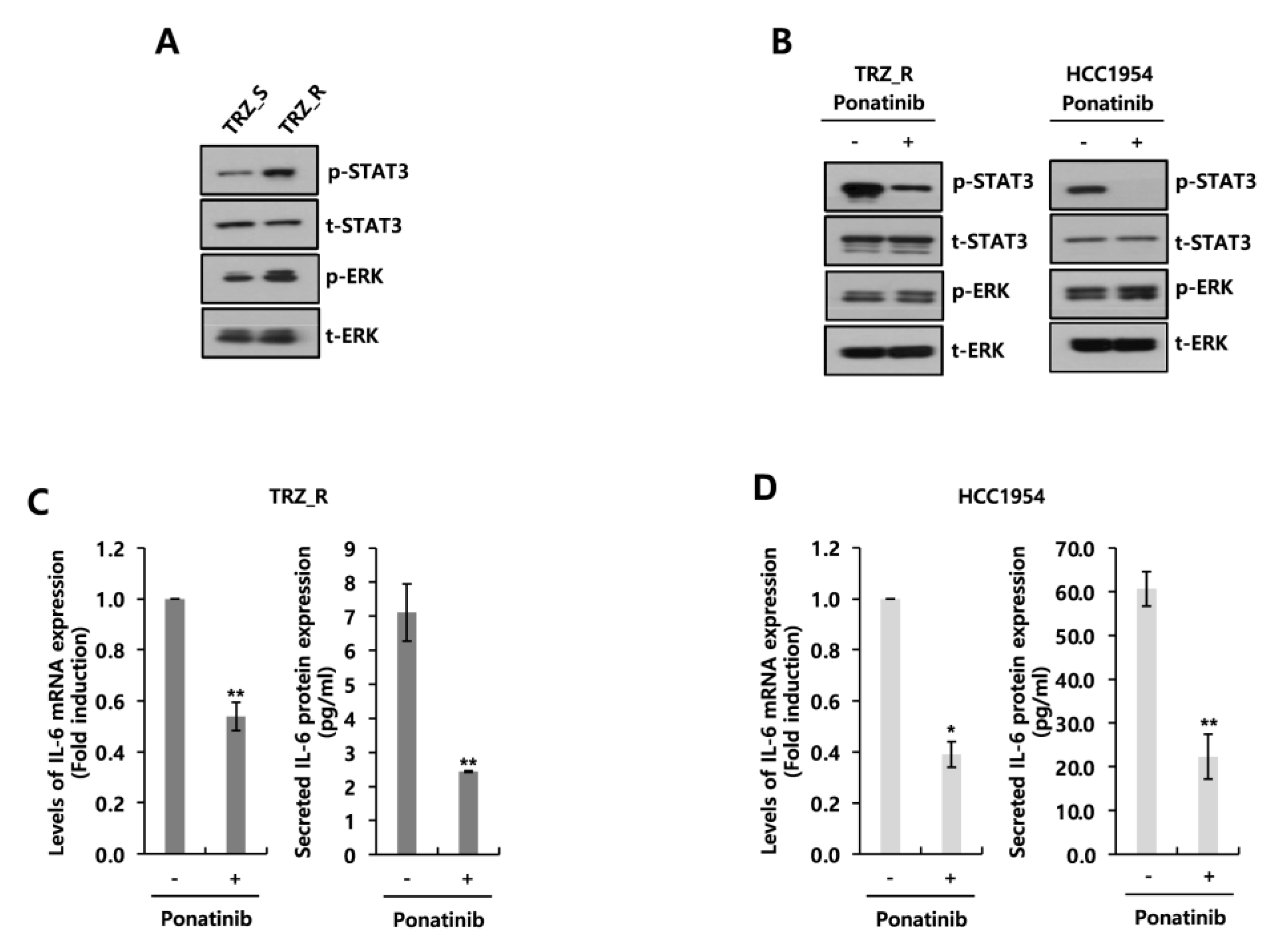 Biomedicines 11 00675 g004
