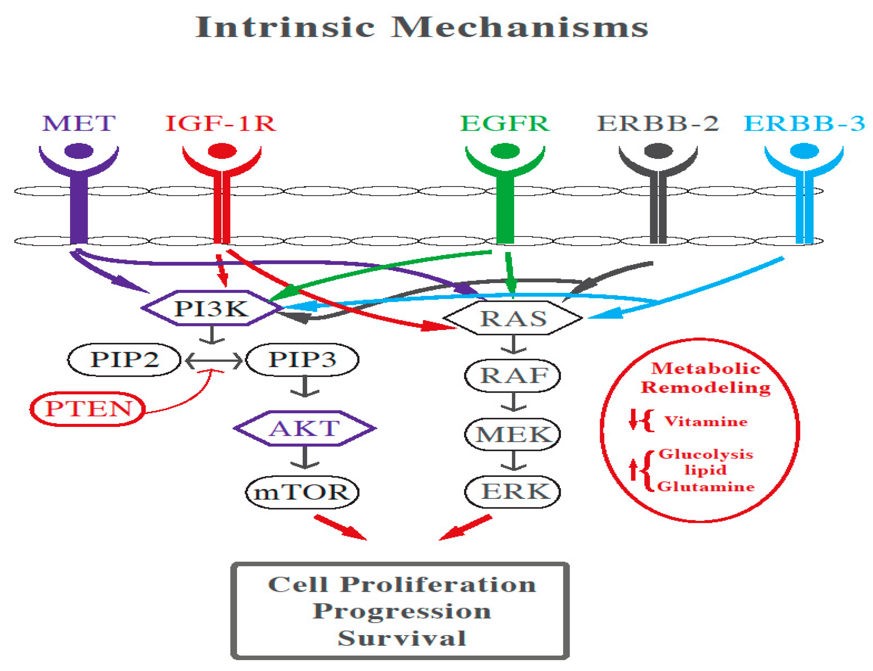 Biomedicines 11 00678 g001 Biomedicines 11 00678 g001