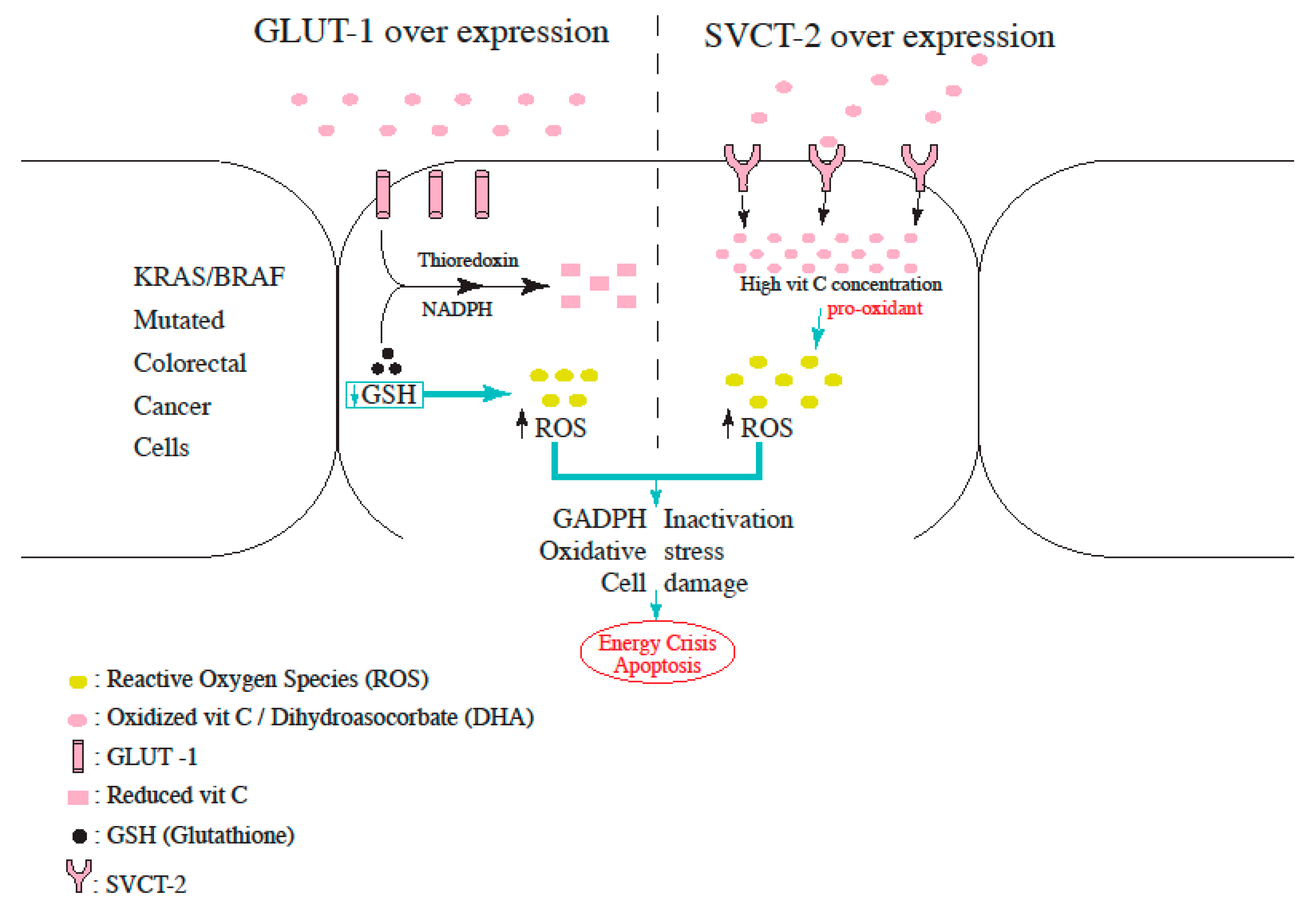Biomedicines 11 00678 g002 Biomedicines 11 00678 g002