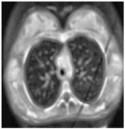 Biomedicines 11 00679 i009