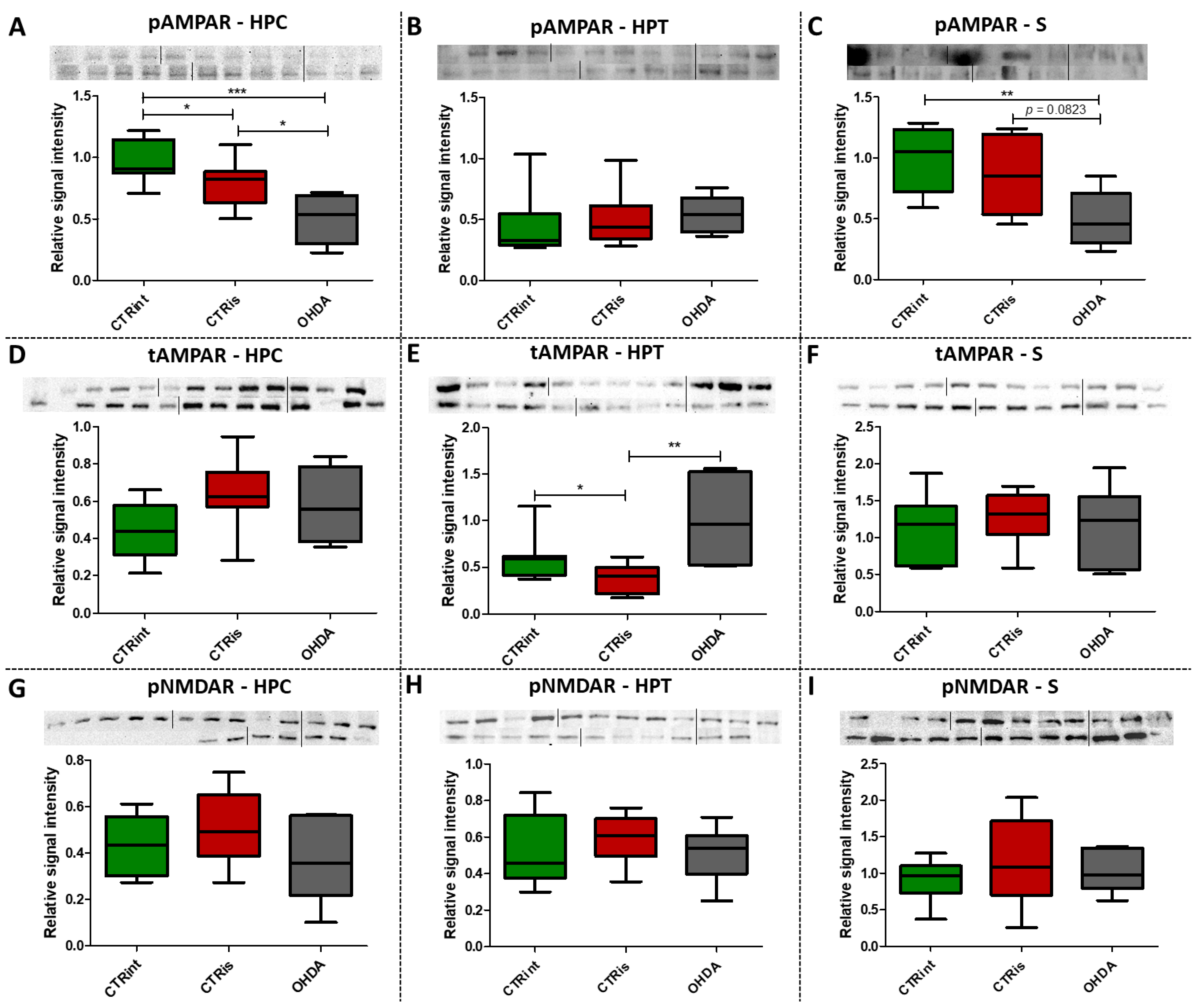 Biomedicines 11 00683 g004 Biomedicines 11 00683 g004