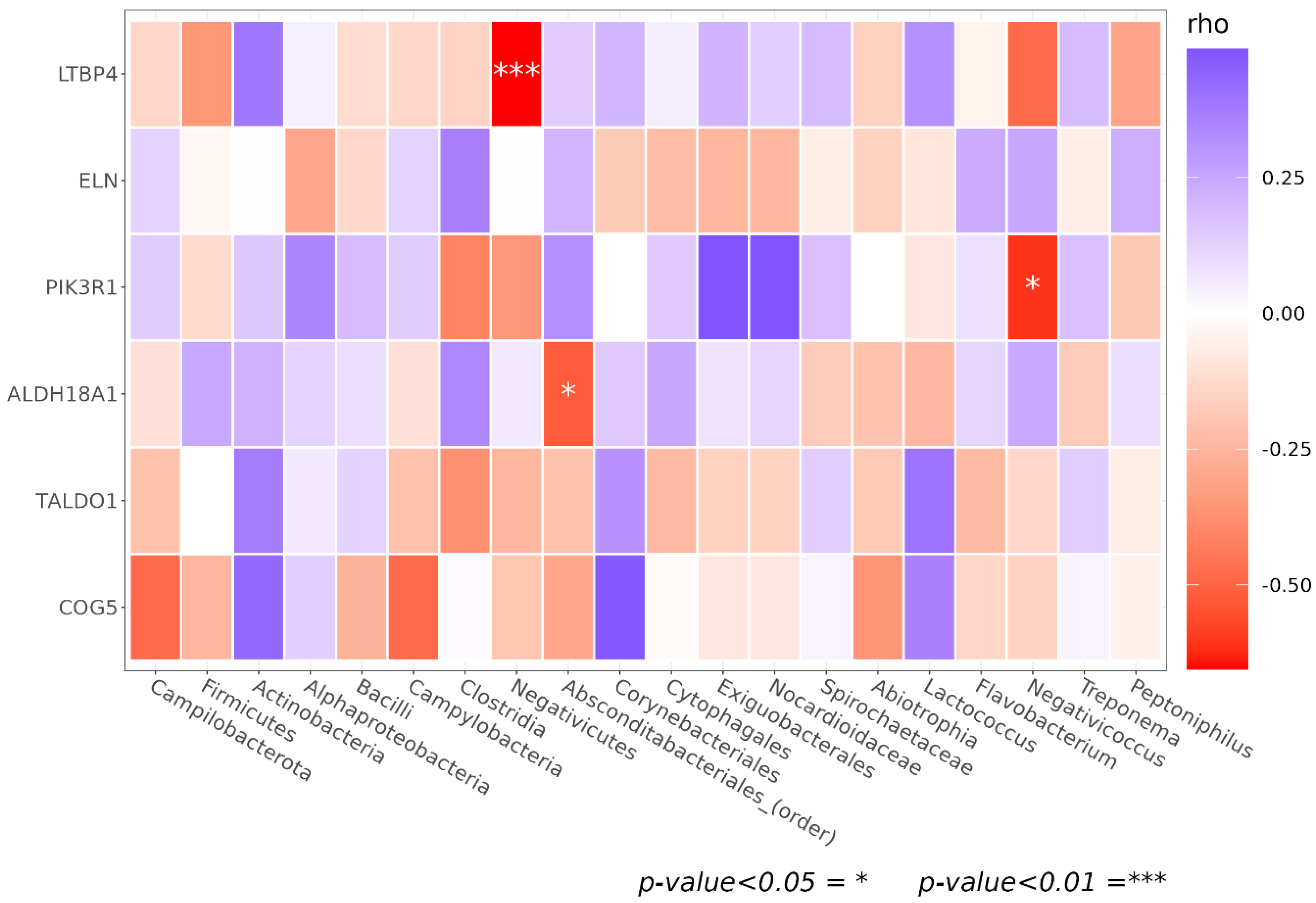 Biomedicines 11 00684 g013