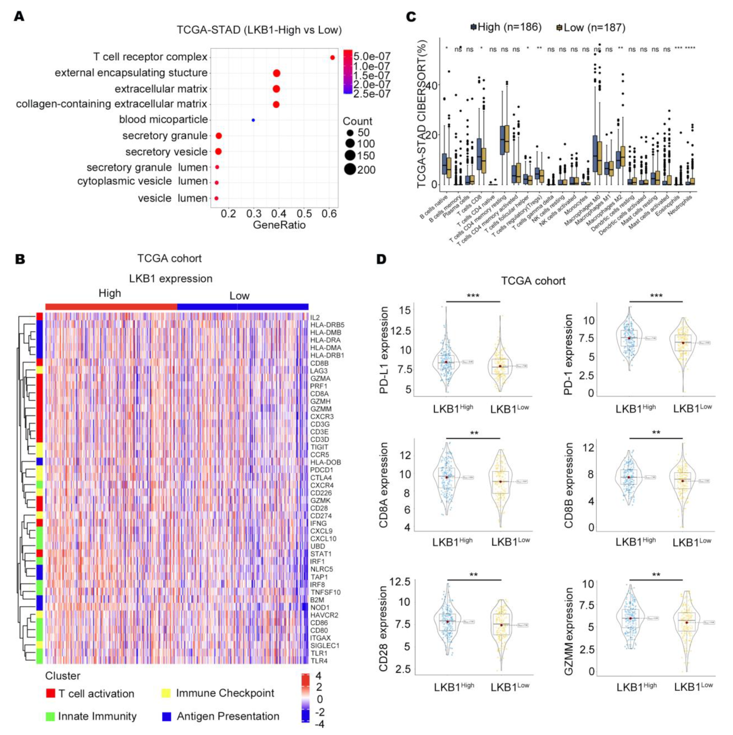 Biomedicines 11 00688 g002 Biomedicines 11 00688 g002