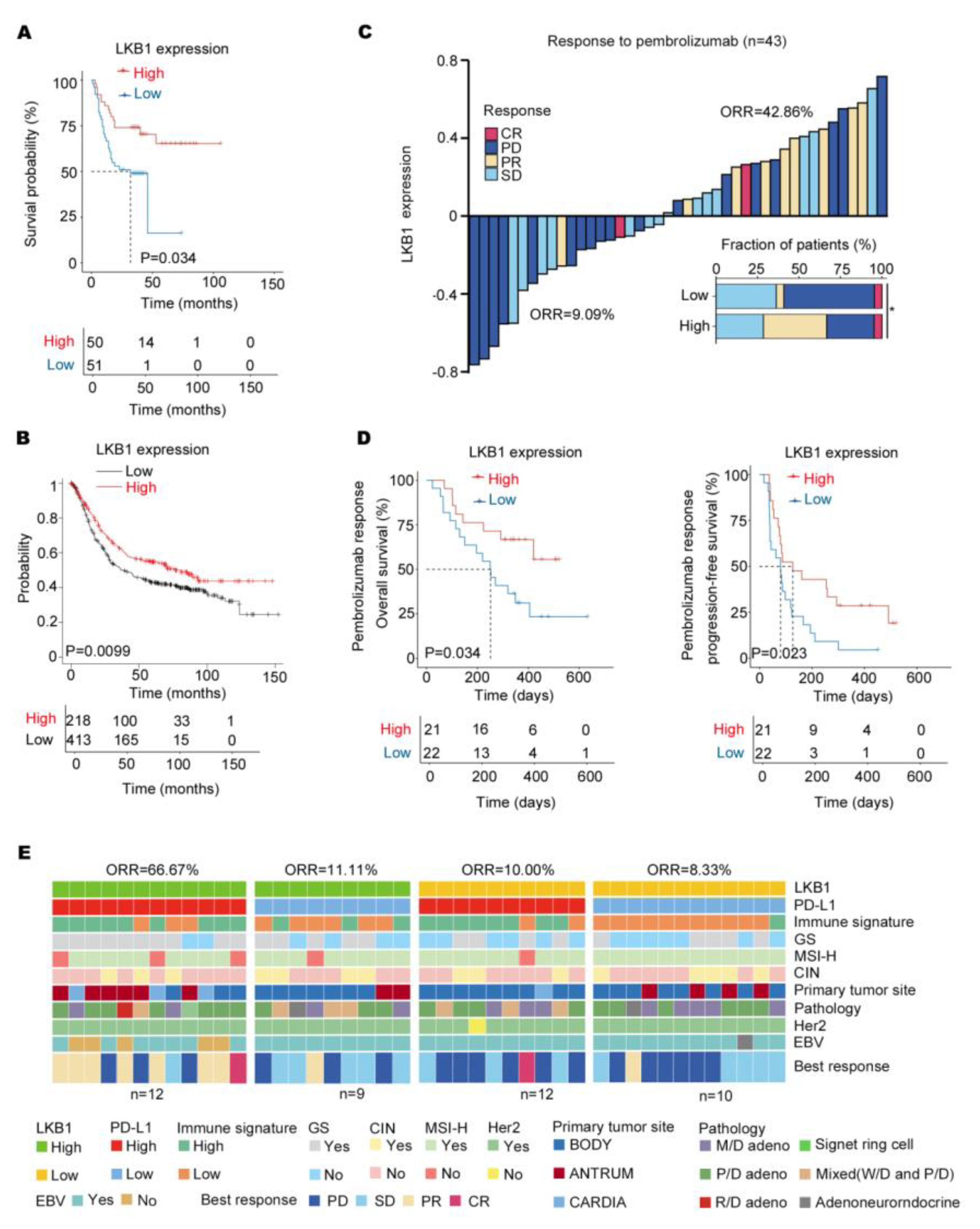 Biomedicines 11 00688 g005 Biomedicines 11 00688 g005