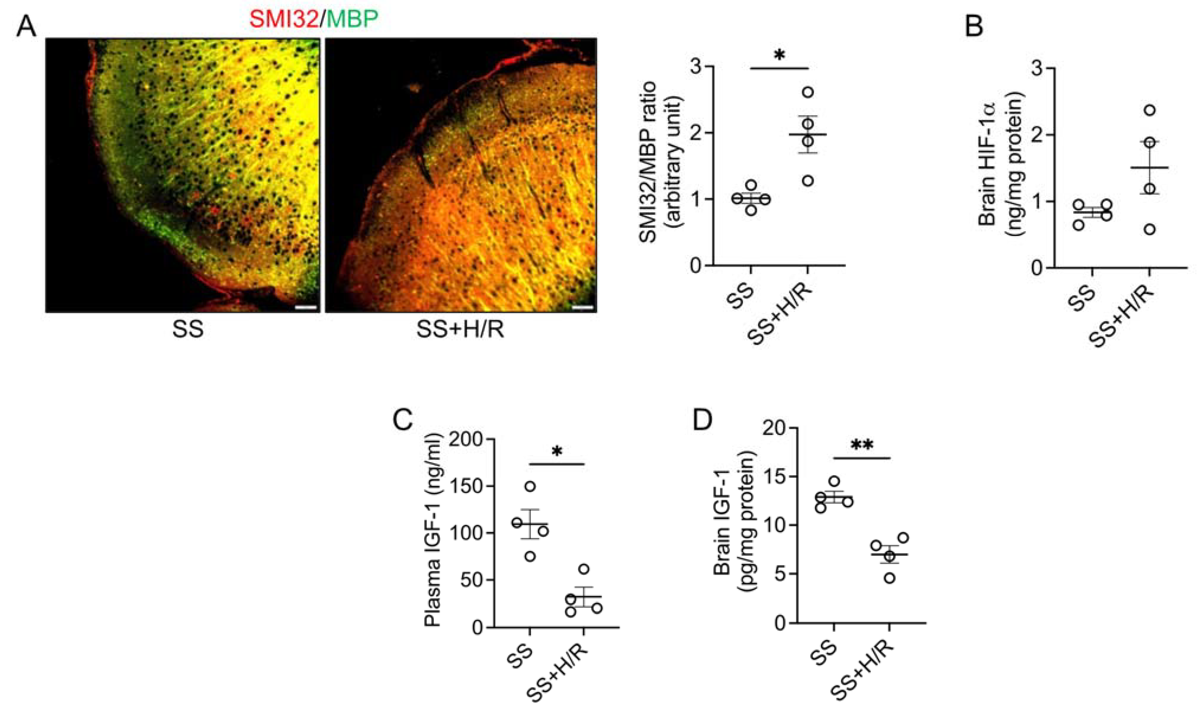 Biomedicines 11 00692 g001 Biomedicines 11 00692 g001