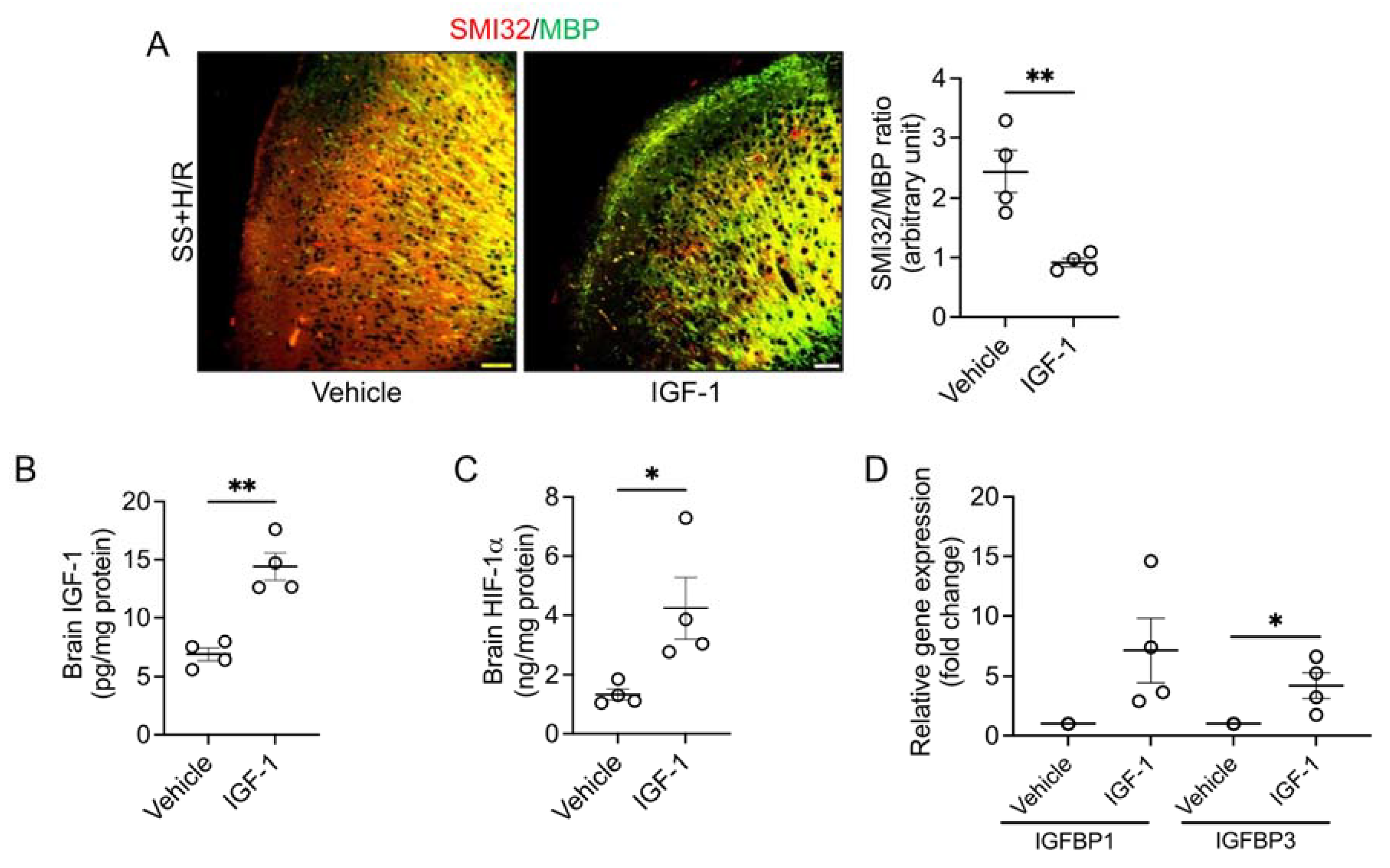 Biomedicines 11 00692 g002 Biomedicines 11 00692 g002