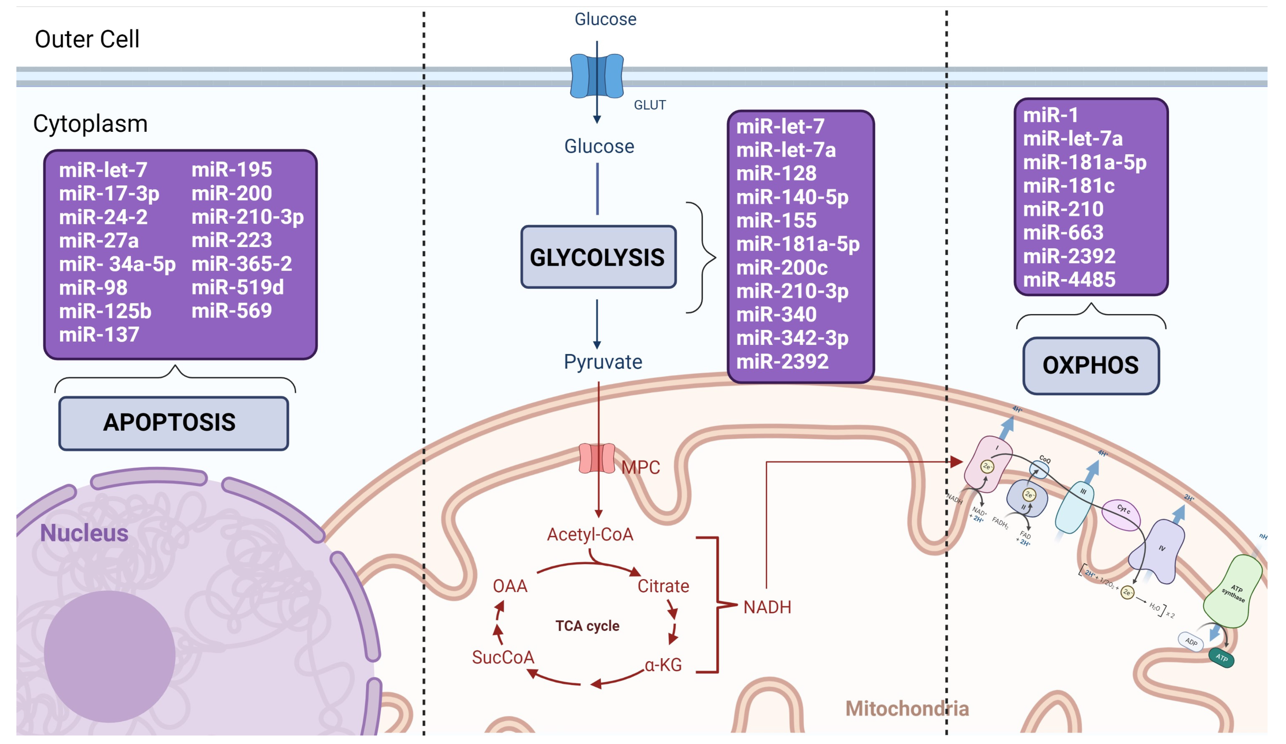 Biomedicines 11 00693 g002