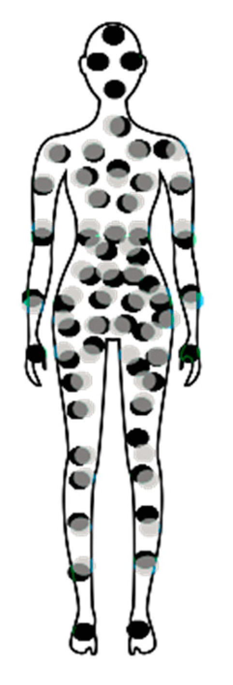 Biomedicines 11 00696 g001