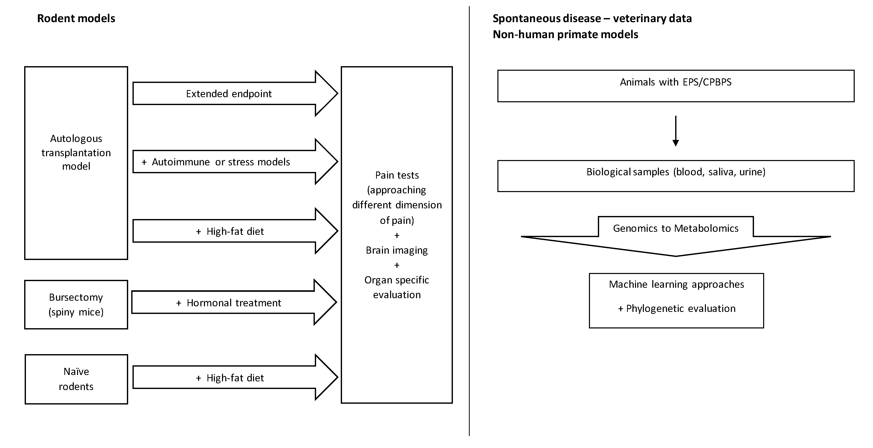Biomedicines 11 00696 g002