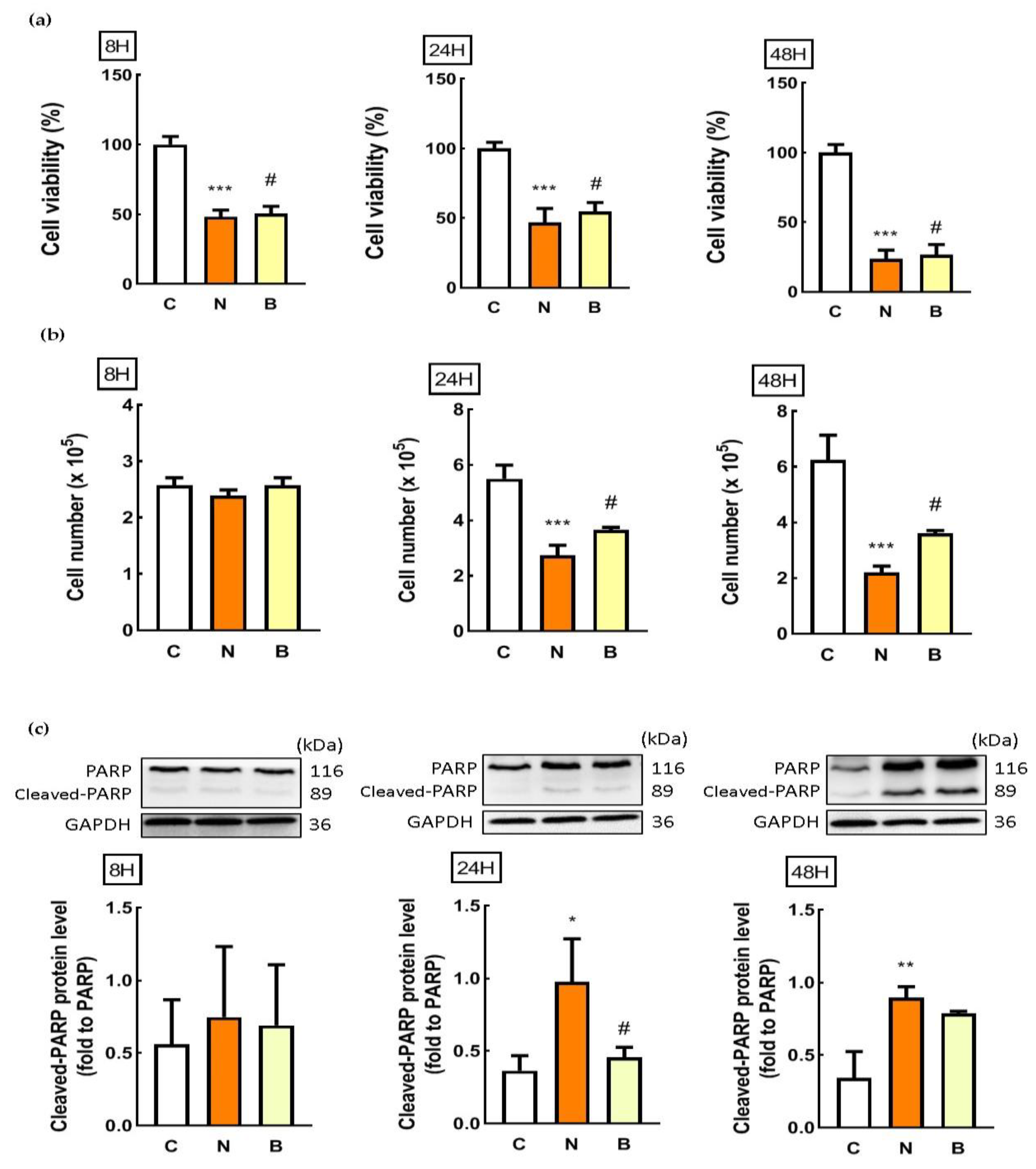 Biomedicines 11 00698 g001 Biomedicines 11 00698 g001