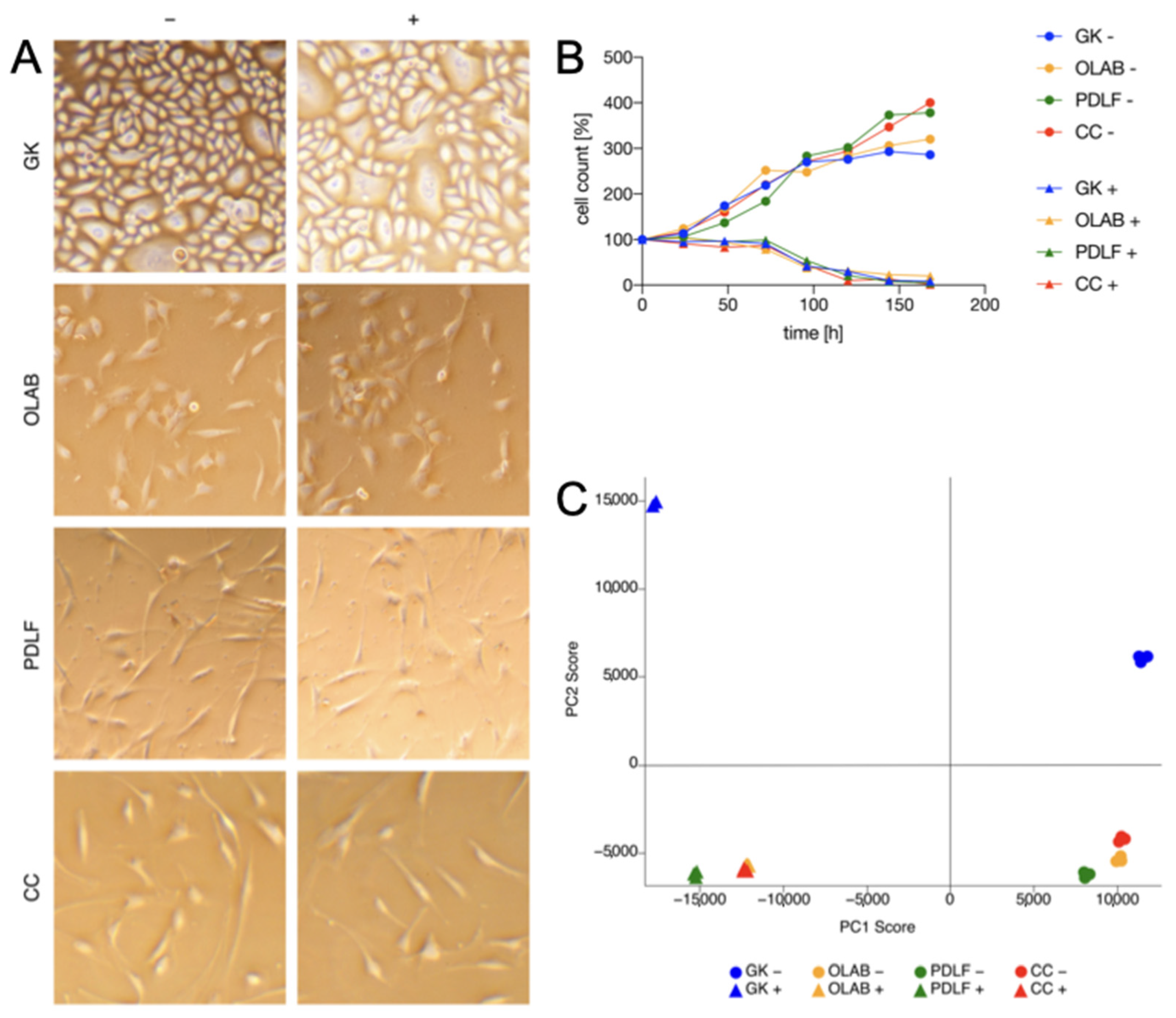 Biomedicines 11 00700 g001 Biomedicines 11 00700 g001