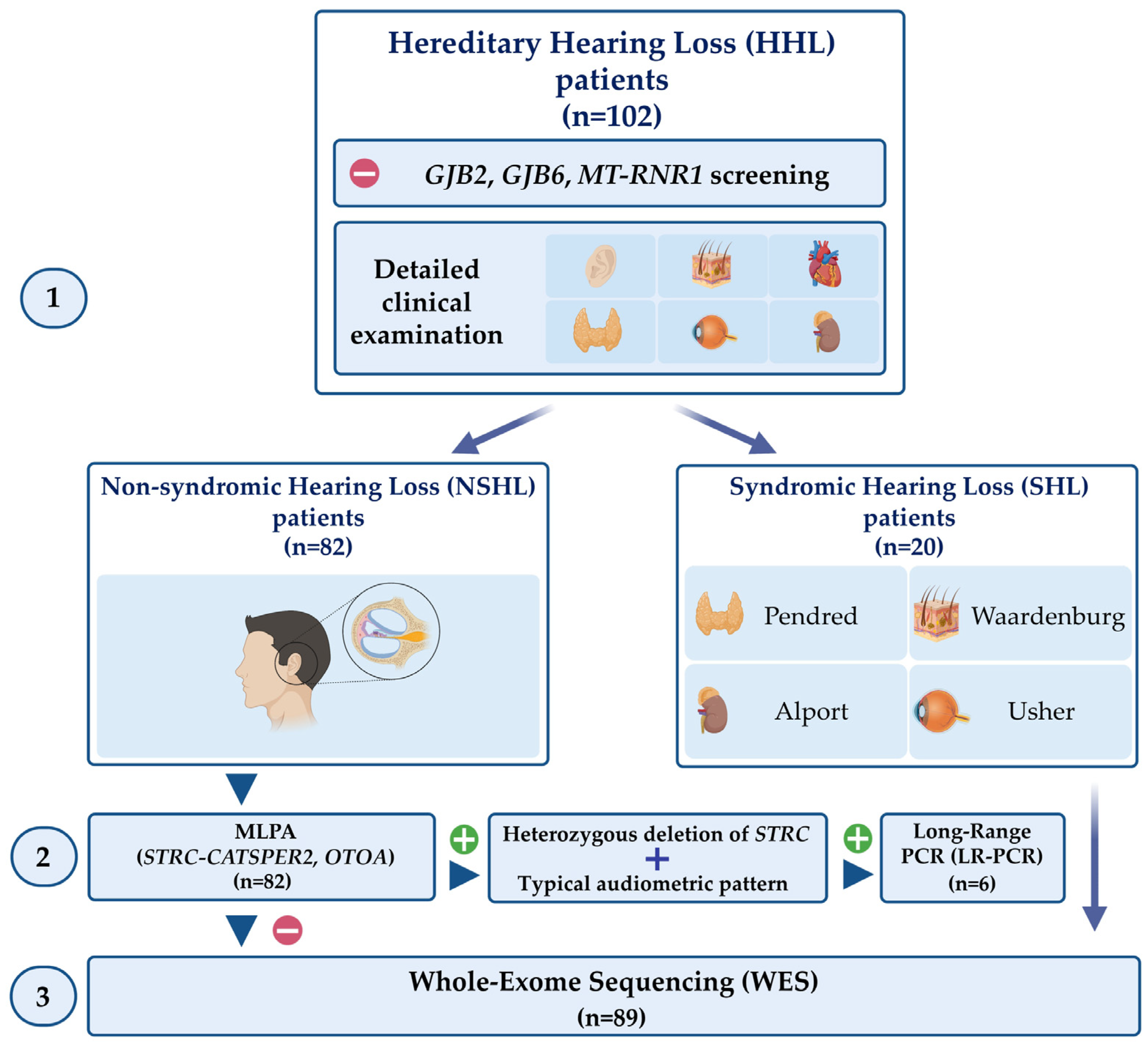 Biomedicines 11 00703 g001