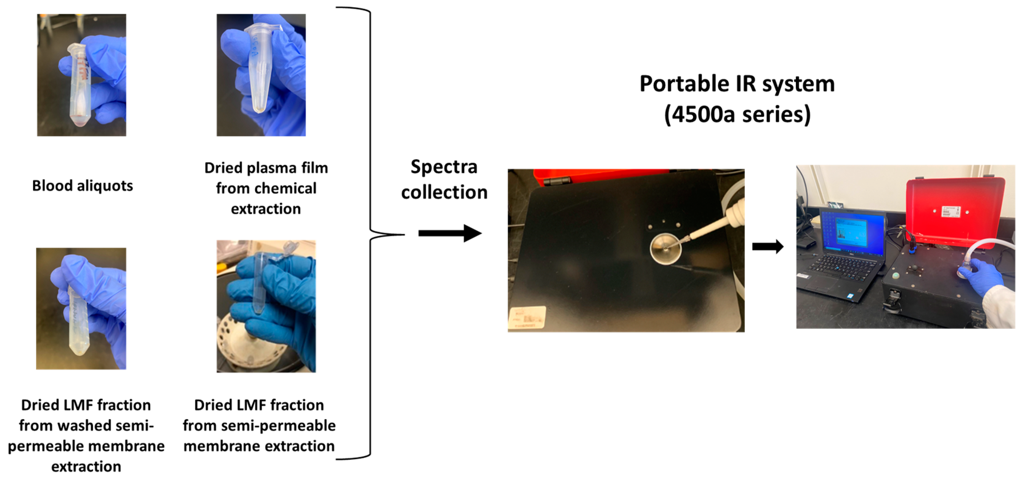 Biomedicines 11 00712 g001