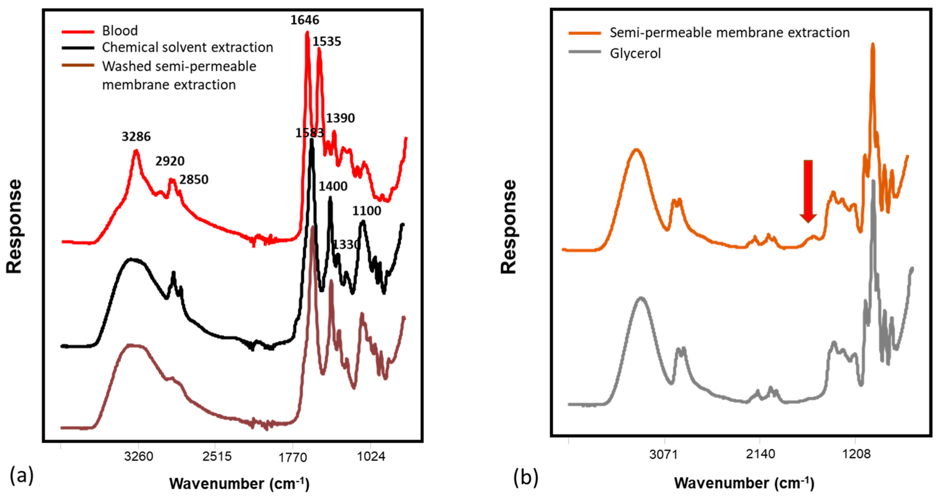 Biomedicines 11 00712 g003