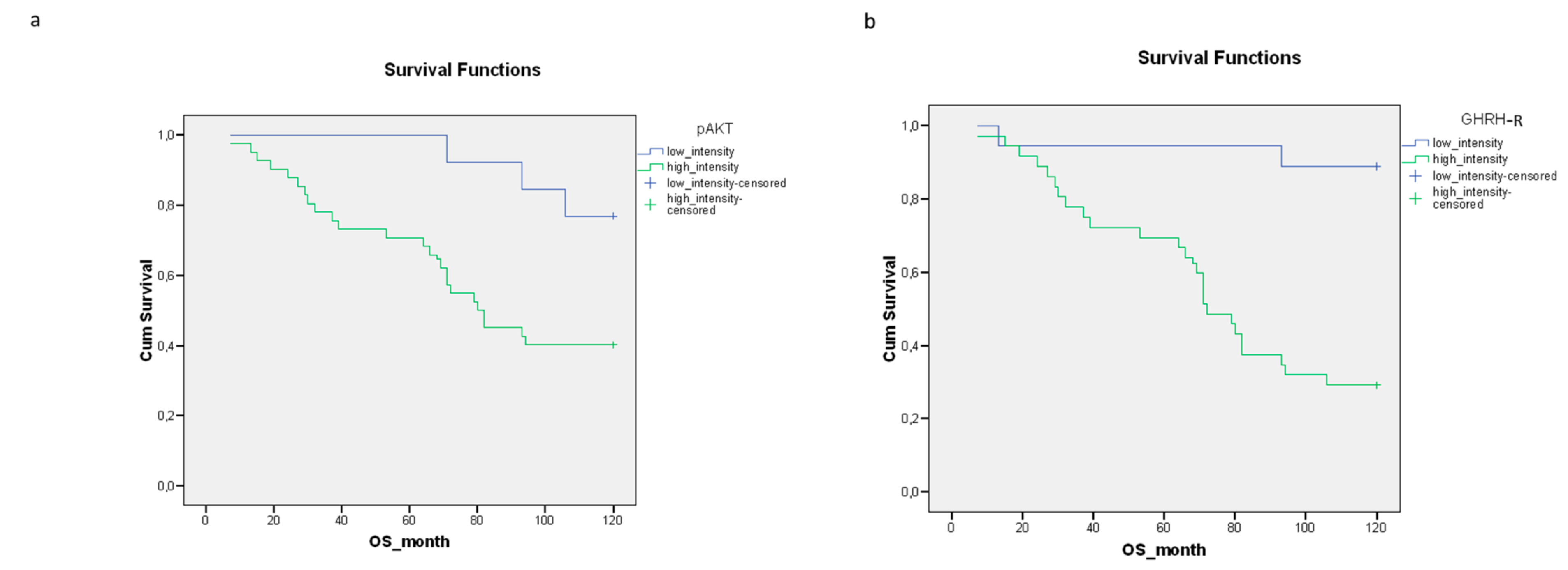 Biomedicines 11 00719 g001a Biomedicines 11 00719 g001a