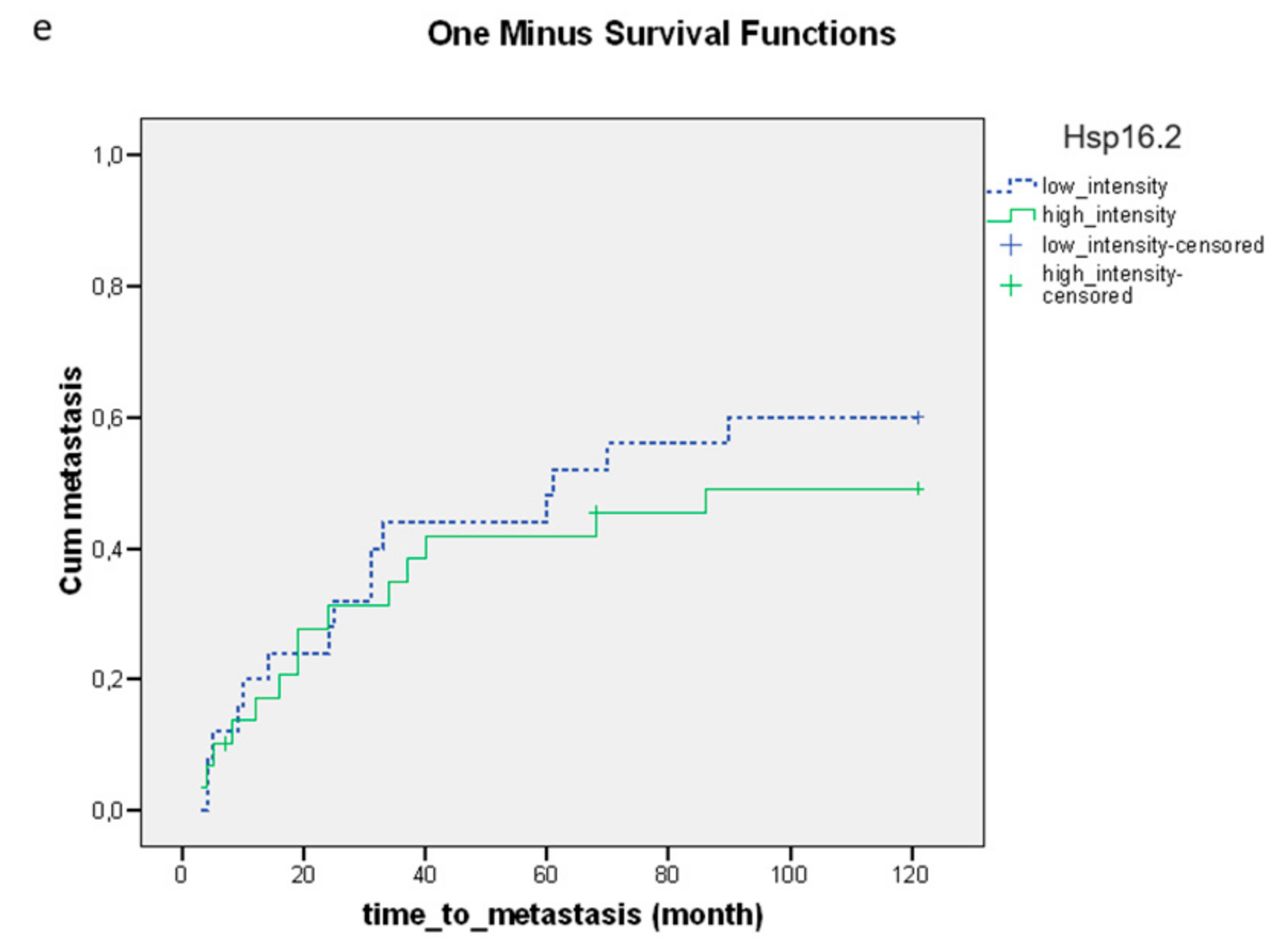 Biomedicines 11 00719 g003b Biomedicines 11 00719 g003b