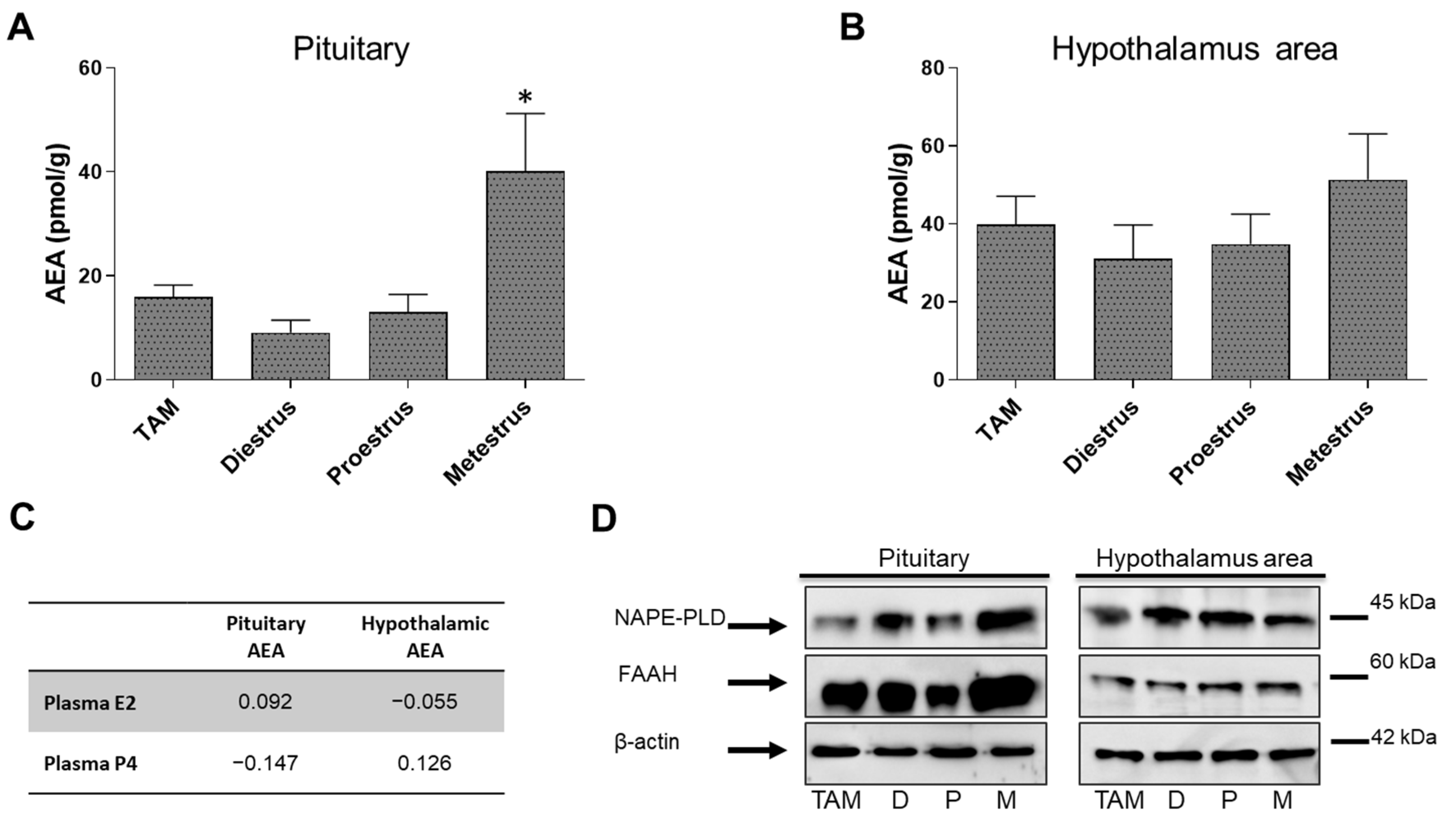 Biomedicines 11 00720 g005 Biomedicines 11 00720 g005
