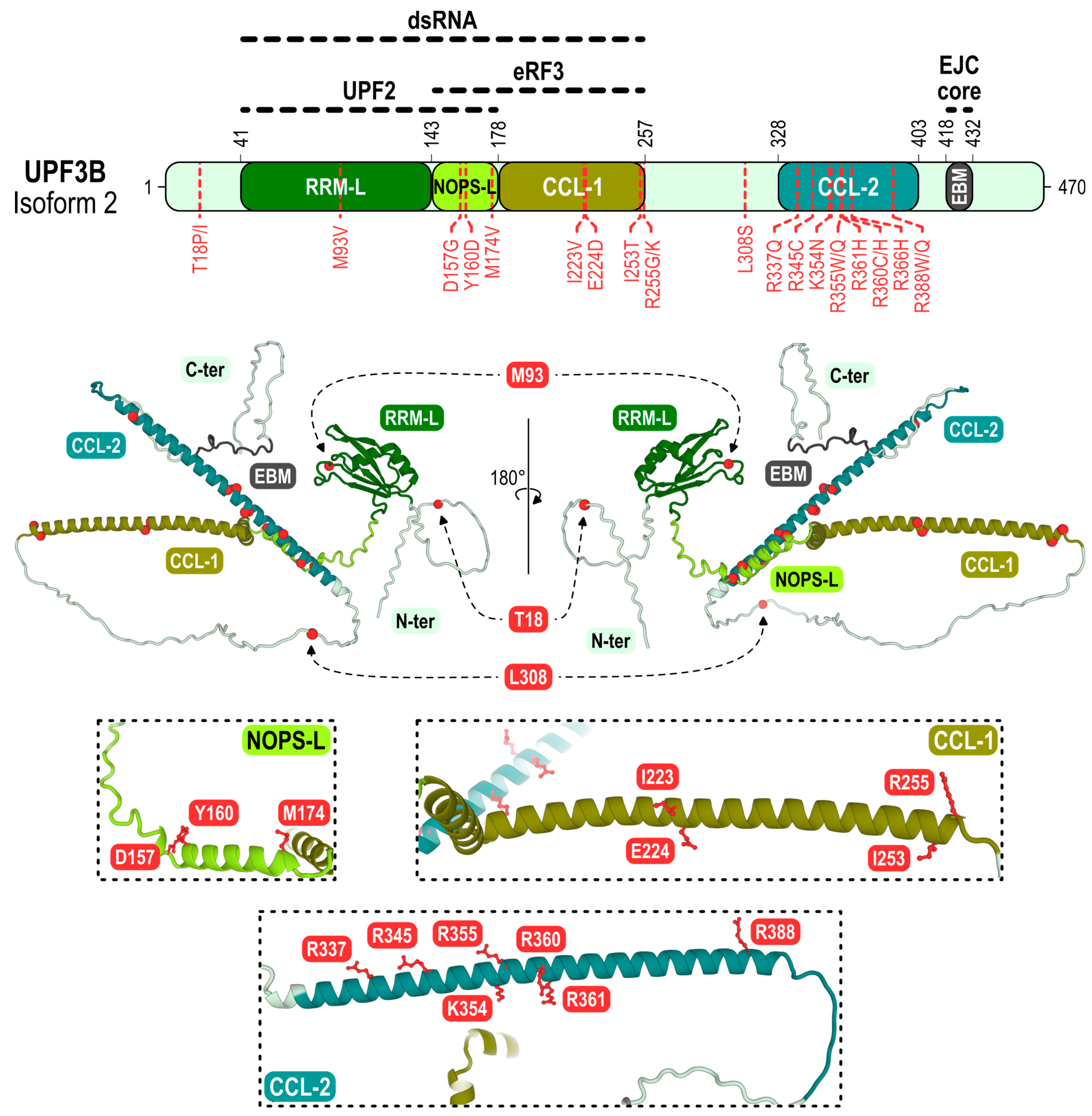 Biomedicines 11 00722 g004
