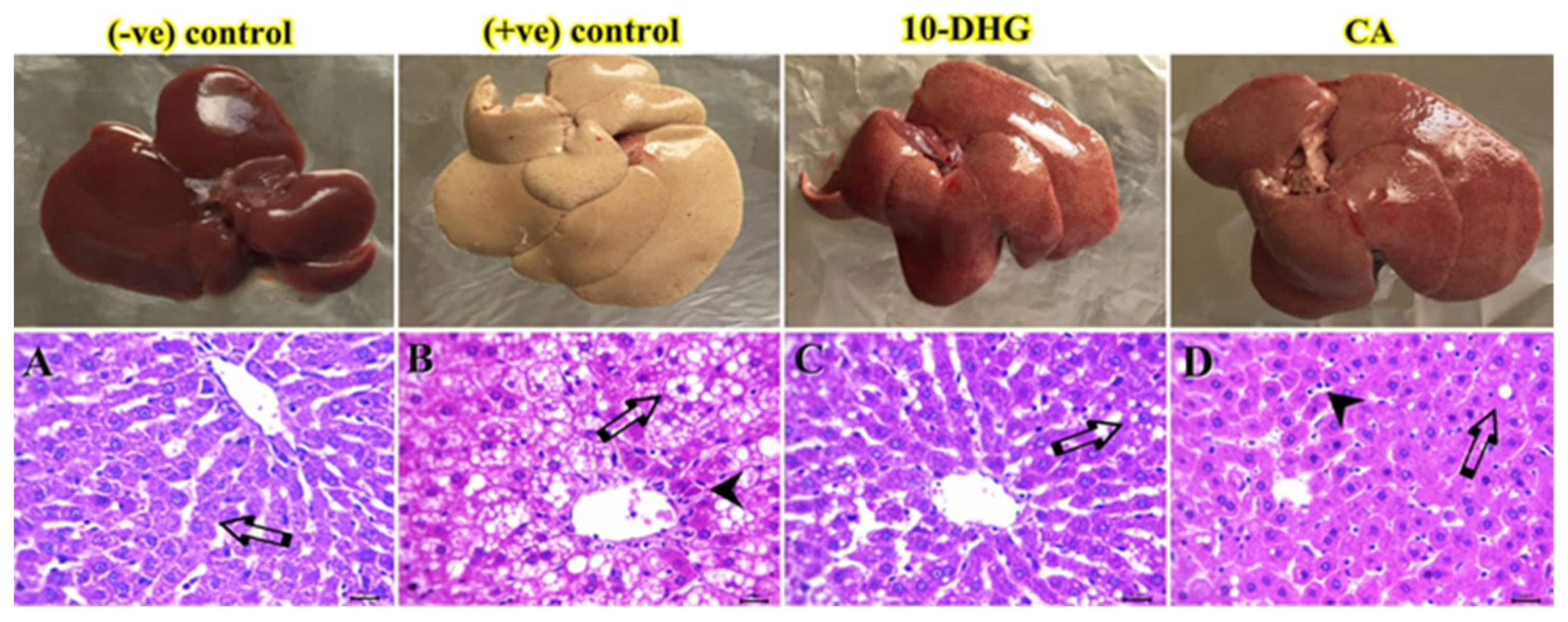 Biomedicines 11 00726 g005 Biomedicines 11 00726 g005