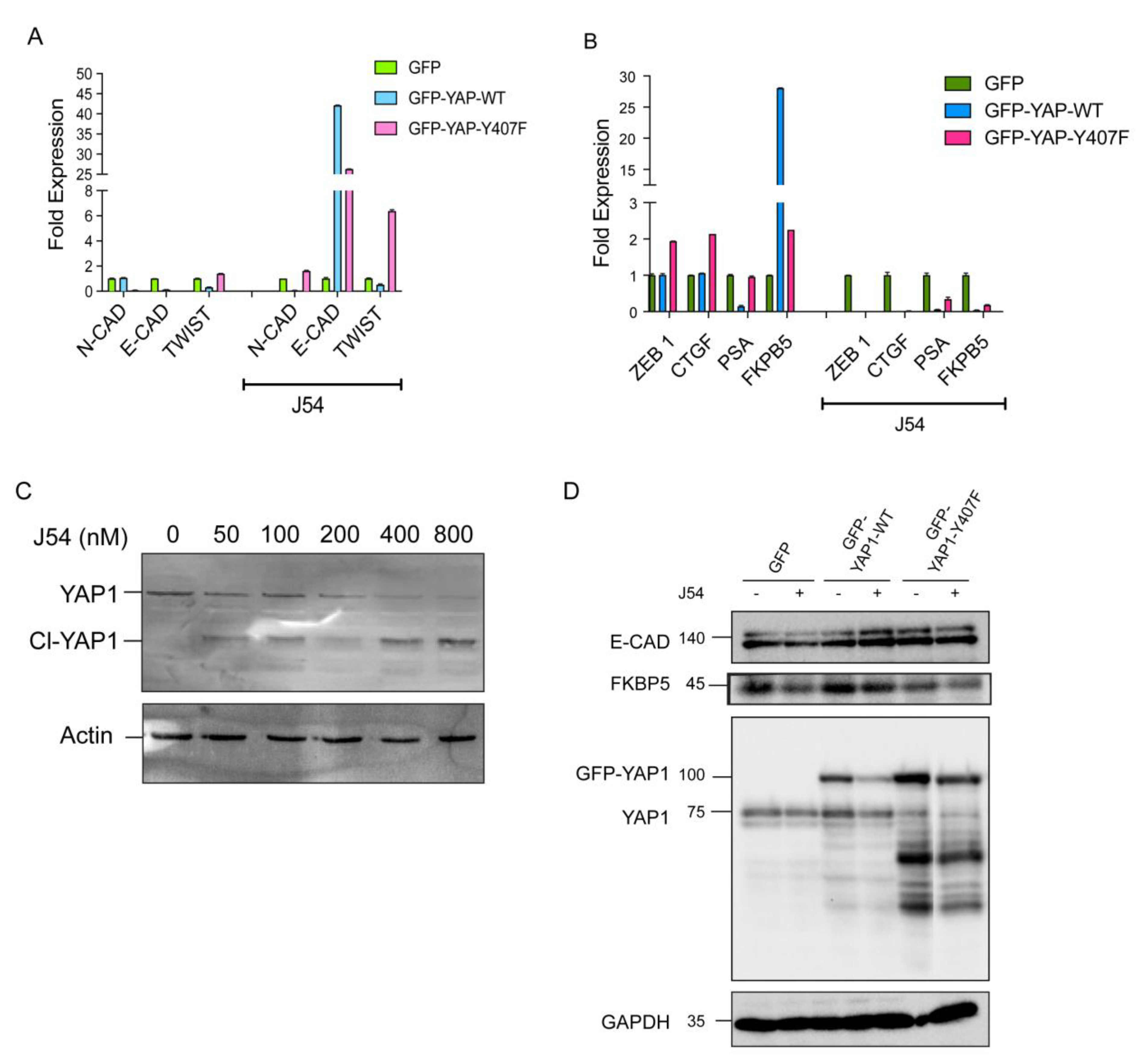 Biomedicines 11 00734 g004 Biomedicines 11 00734 g004