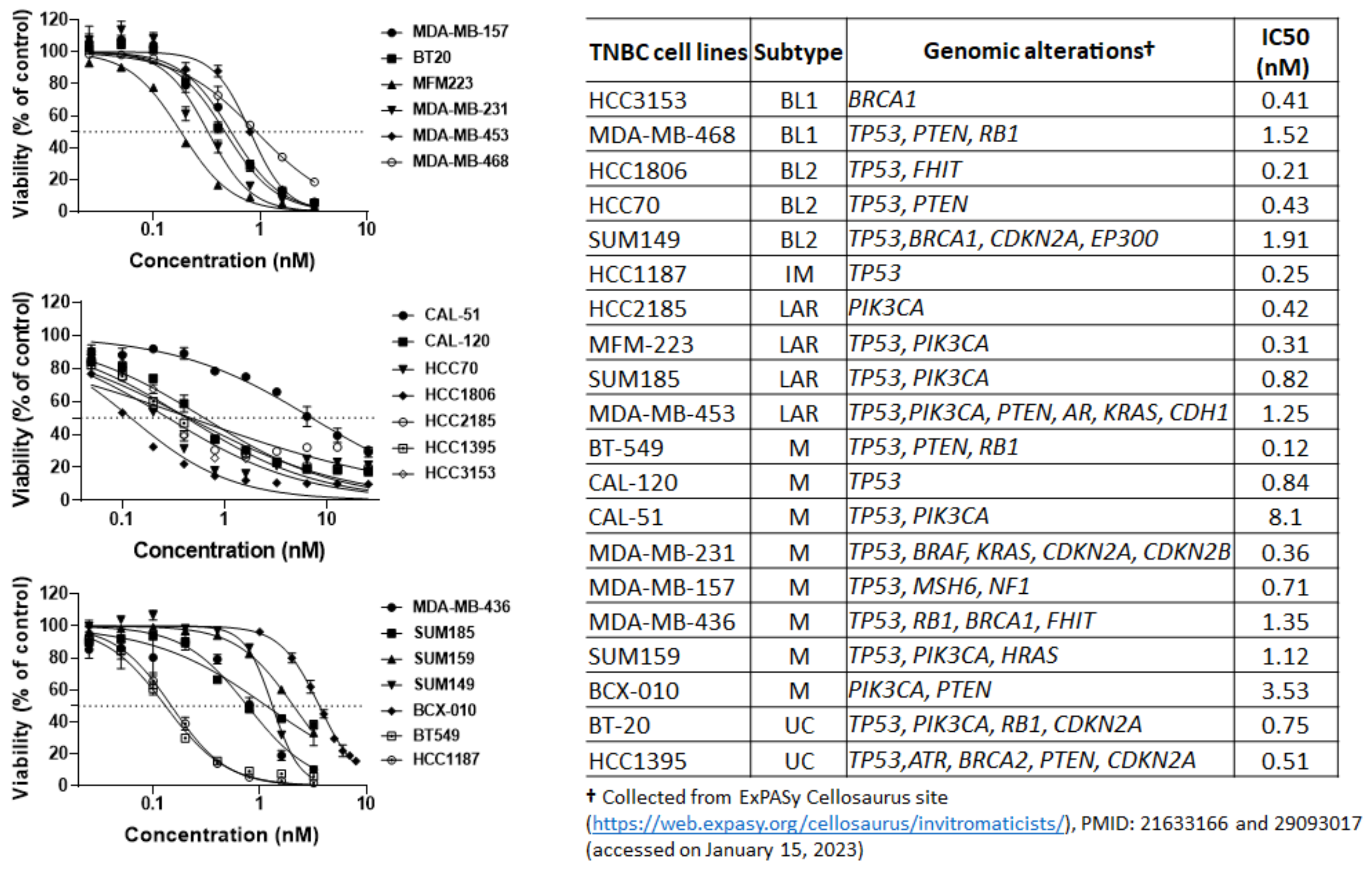 Identification of Kinase Targets for Enhancing the Antitumor