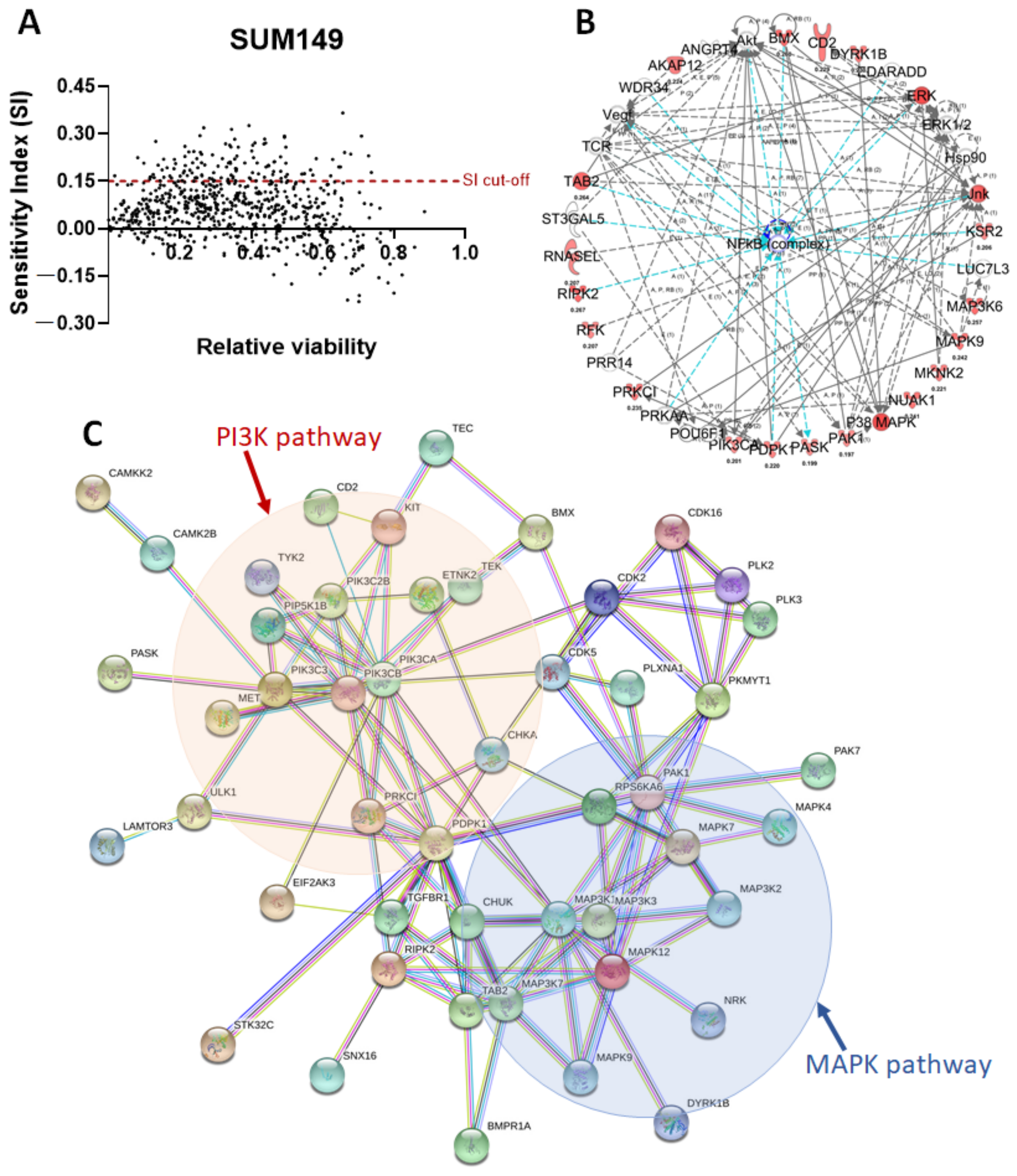 Biomedicines 11 00735 g002