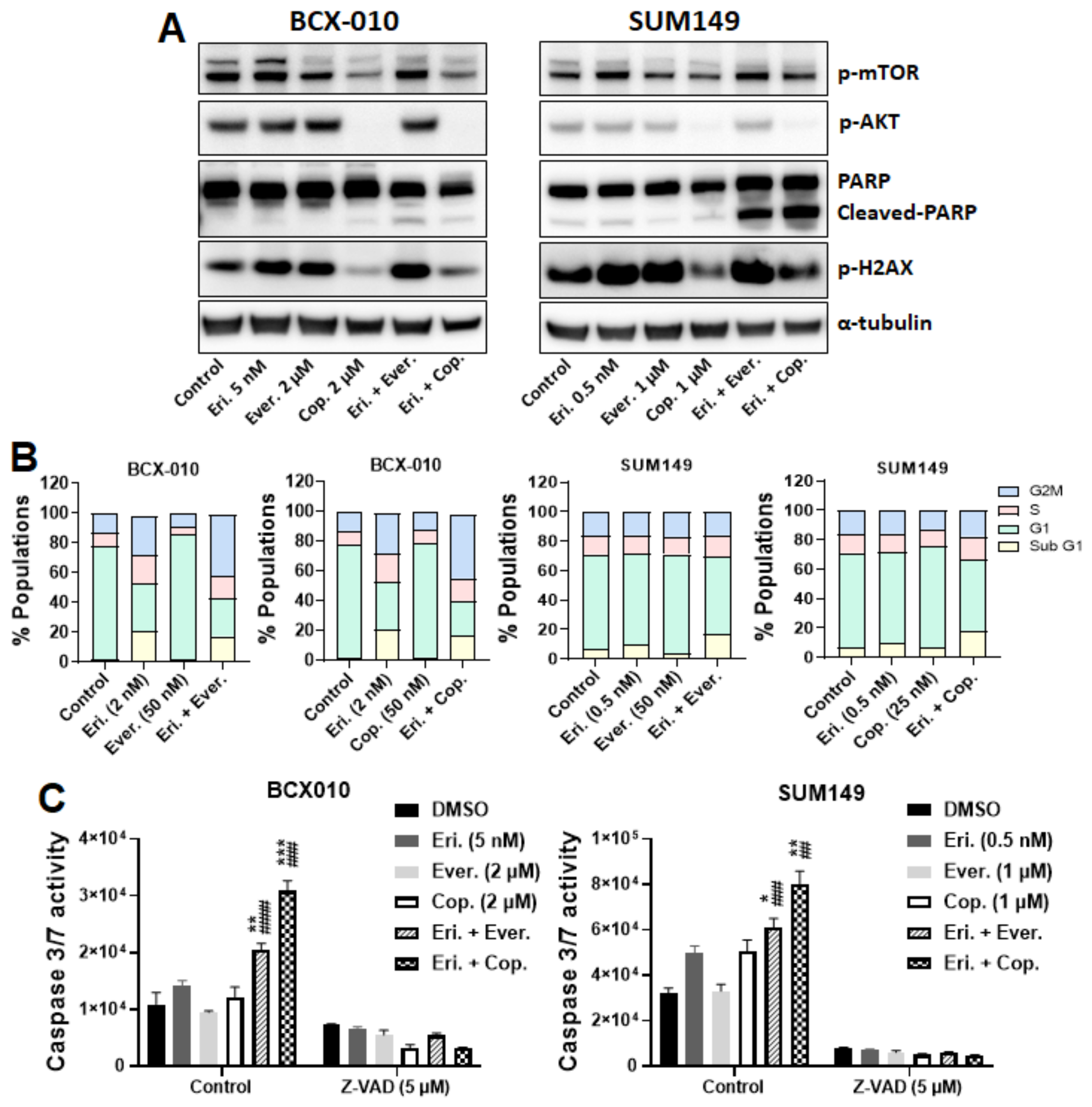 Biomedicines 11 00735 g005