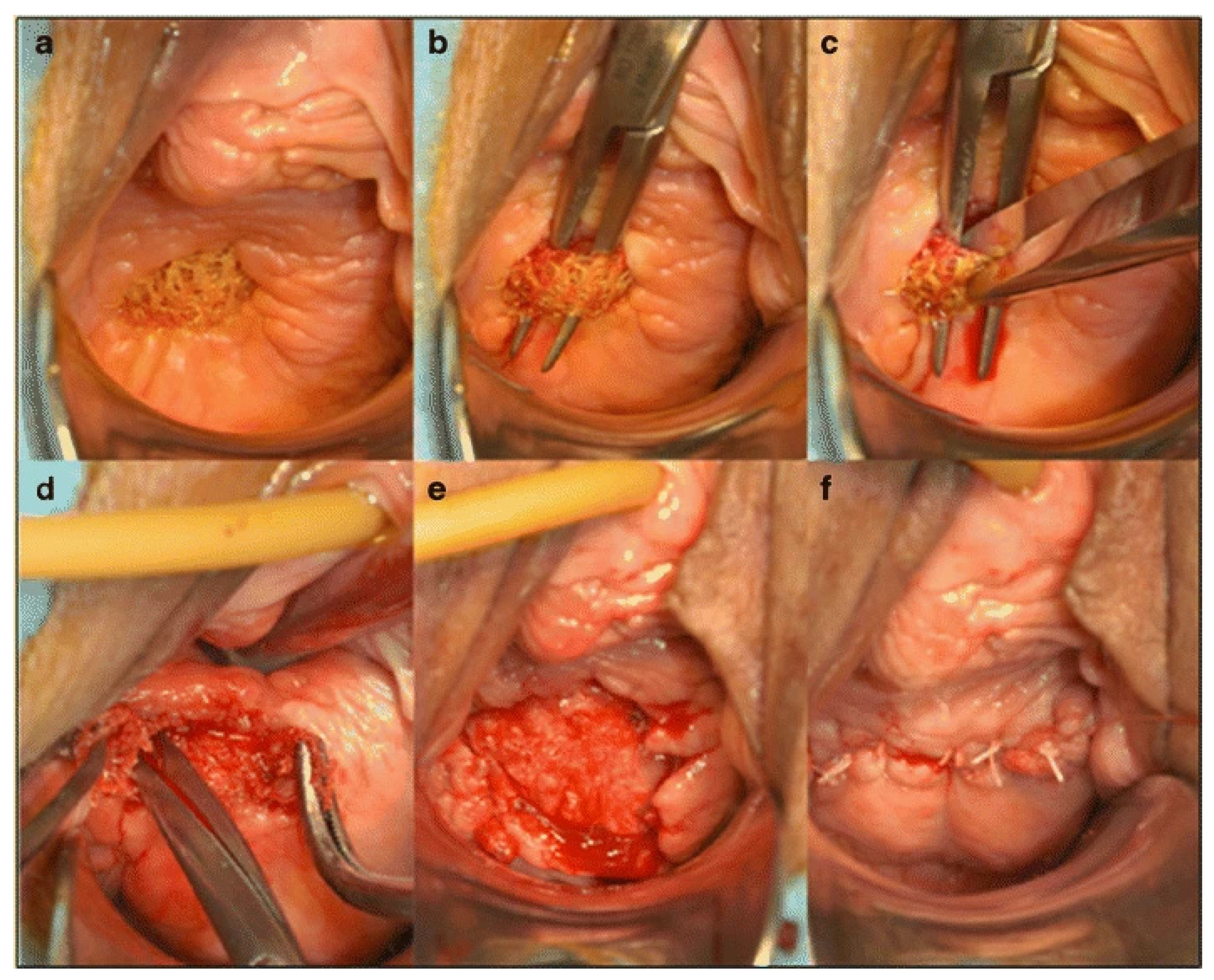 Biomedicines 11 00741 g004 Biomedicines 11 00741 g004