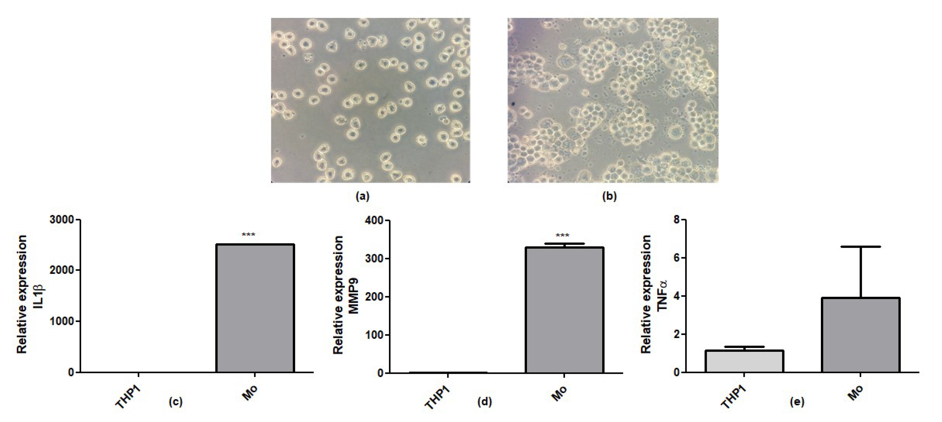Biomedicines 11 00742 g005
