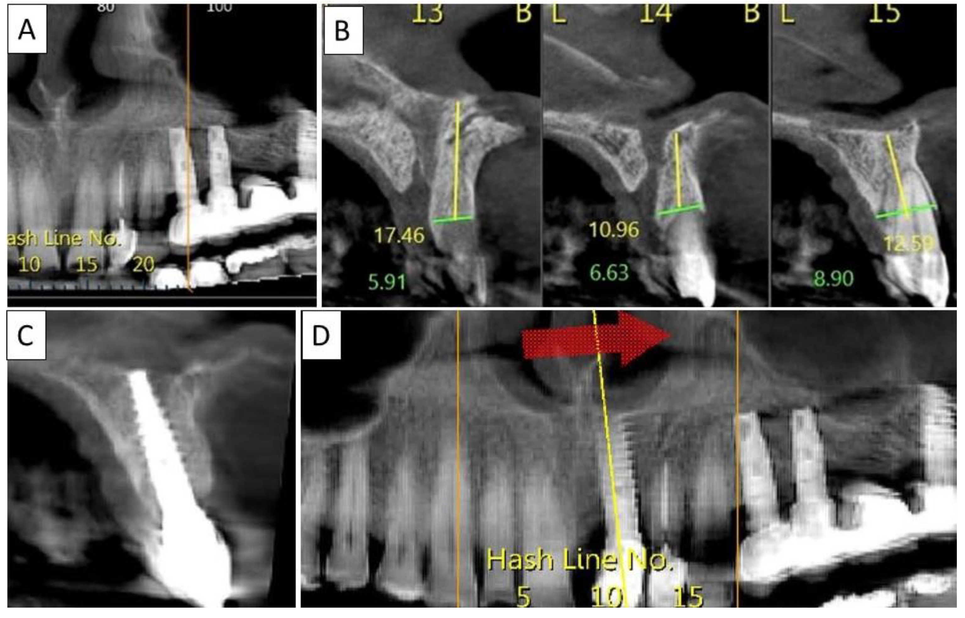Biomedicines 11 00744 g007 Biomedicines 11 00744 g007