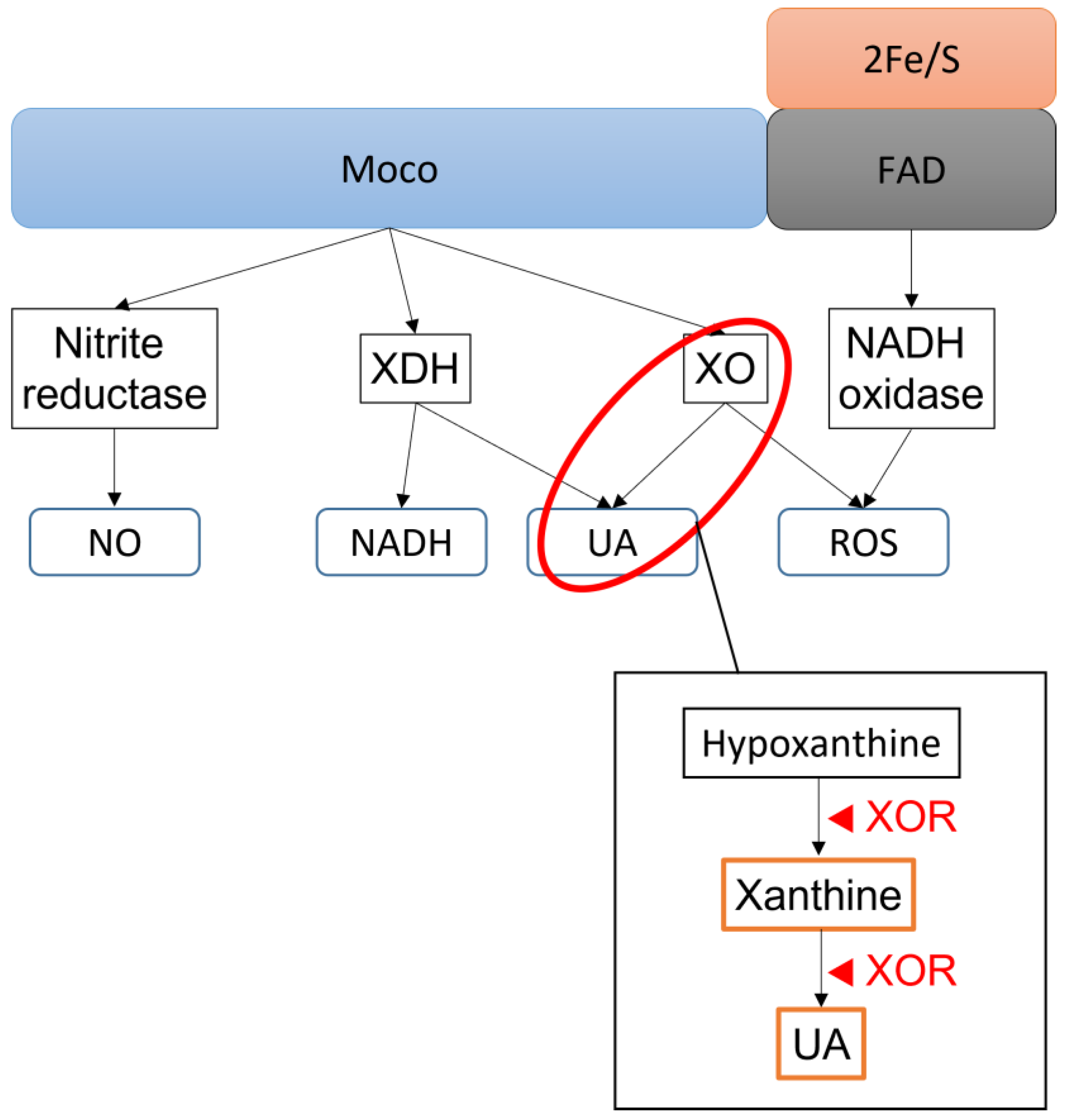 Biomedicines 11 00754 g001 Biomedicines 11 00754 g001