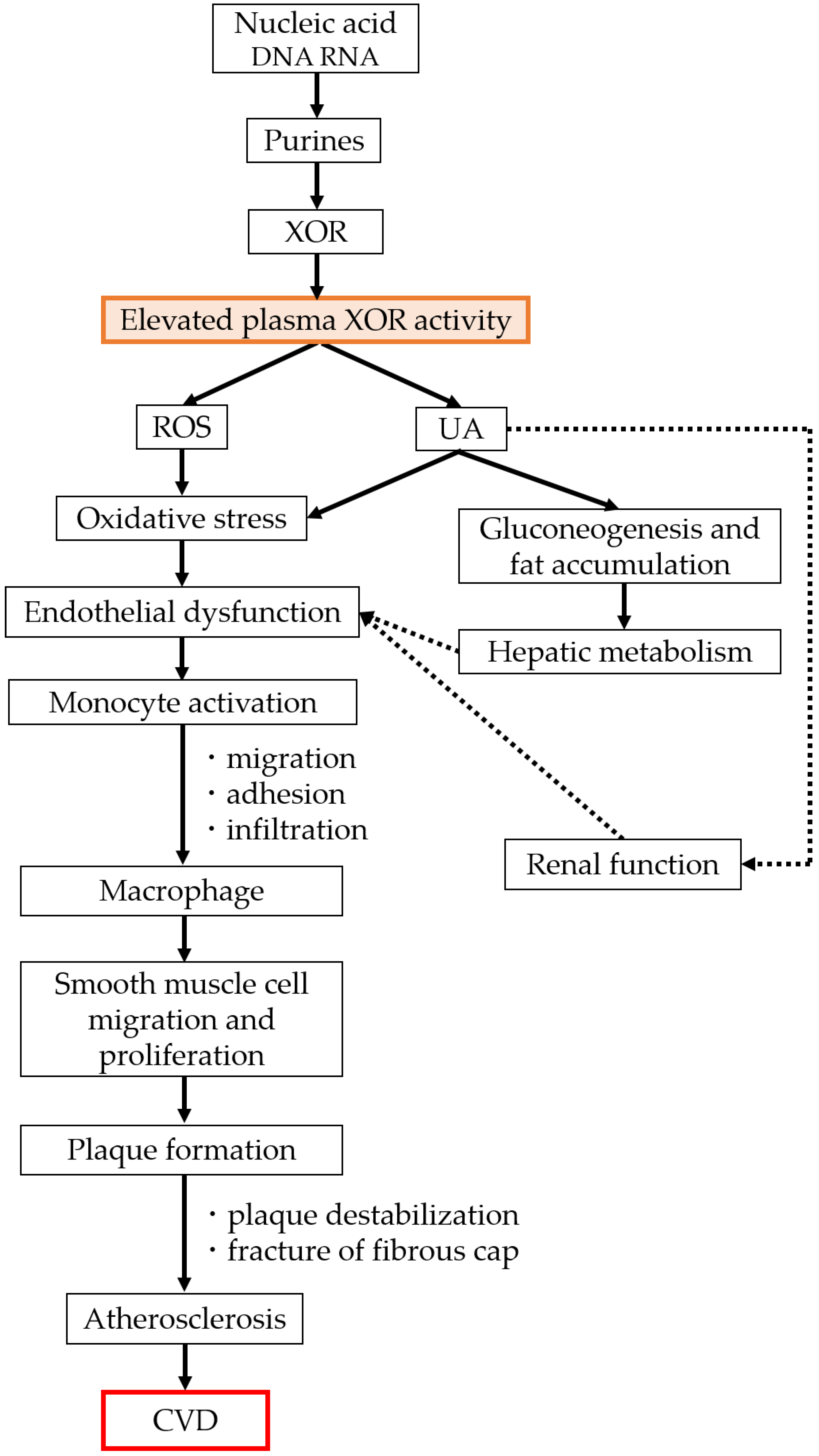 Biomedicines 11 00754 g002 Biomedicines 11 00754 g002