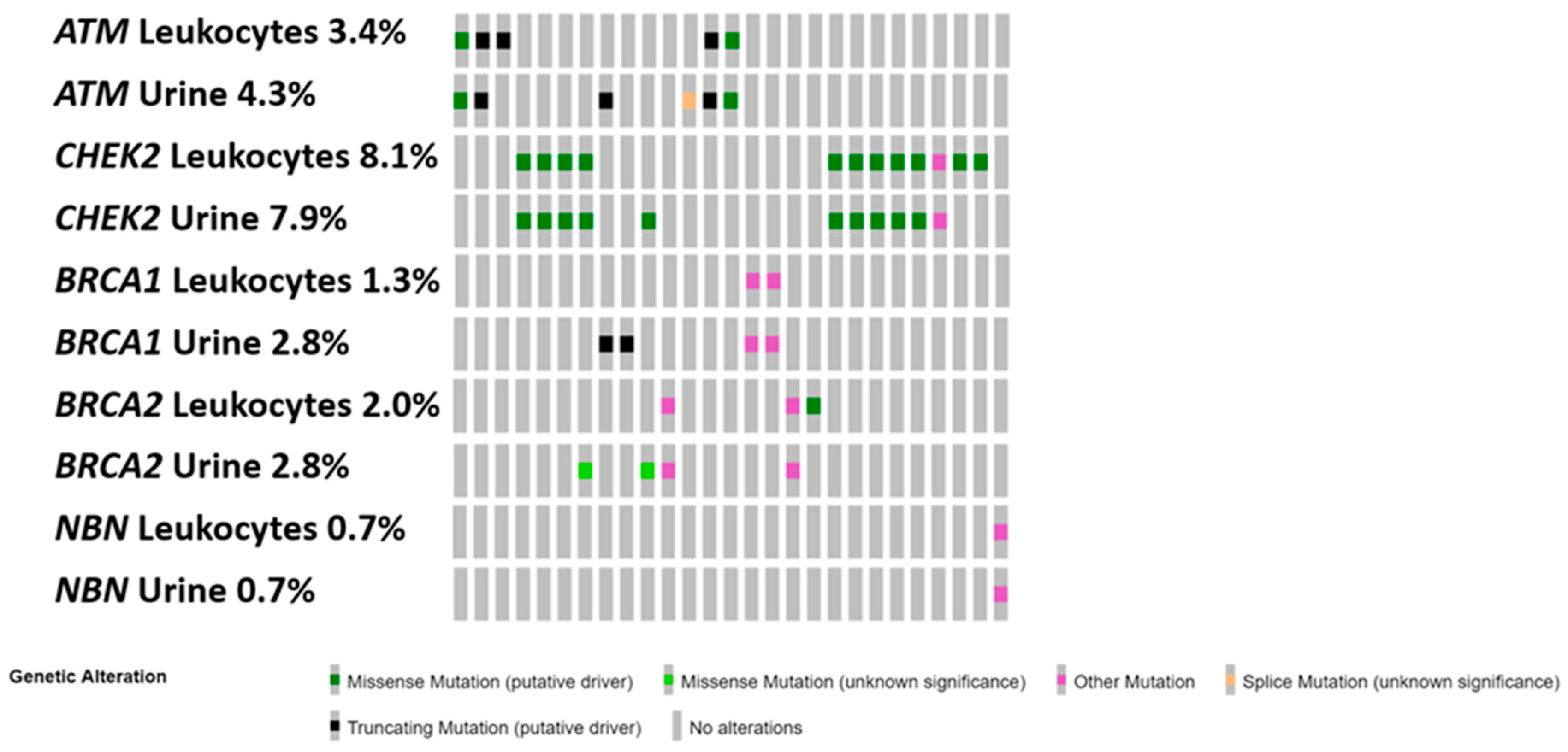 Biomedicines 11 00761 g001