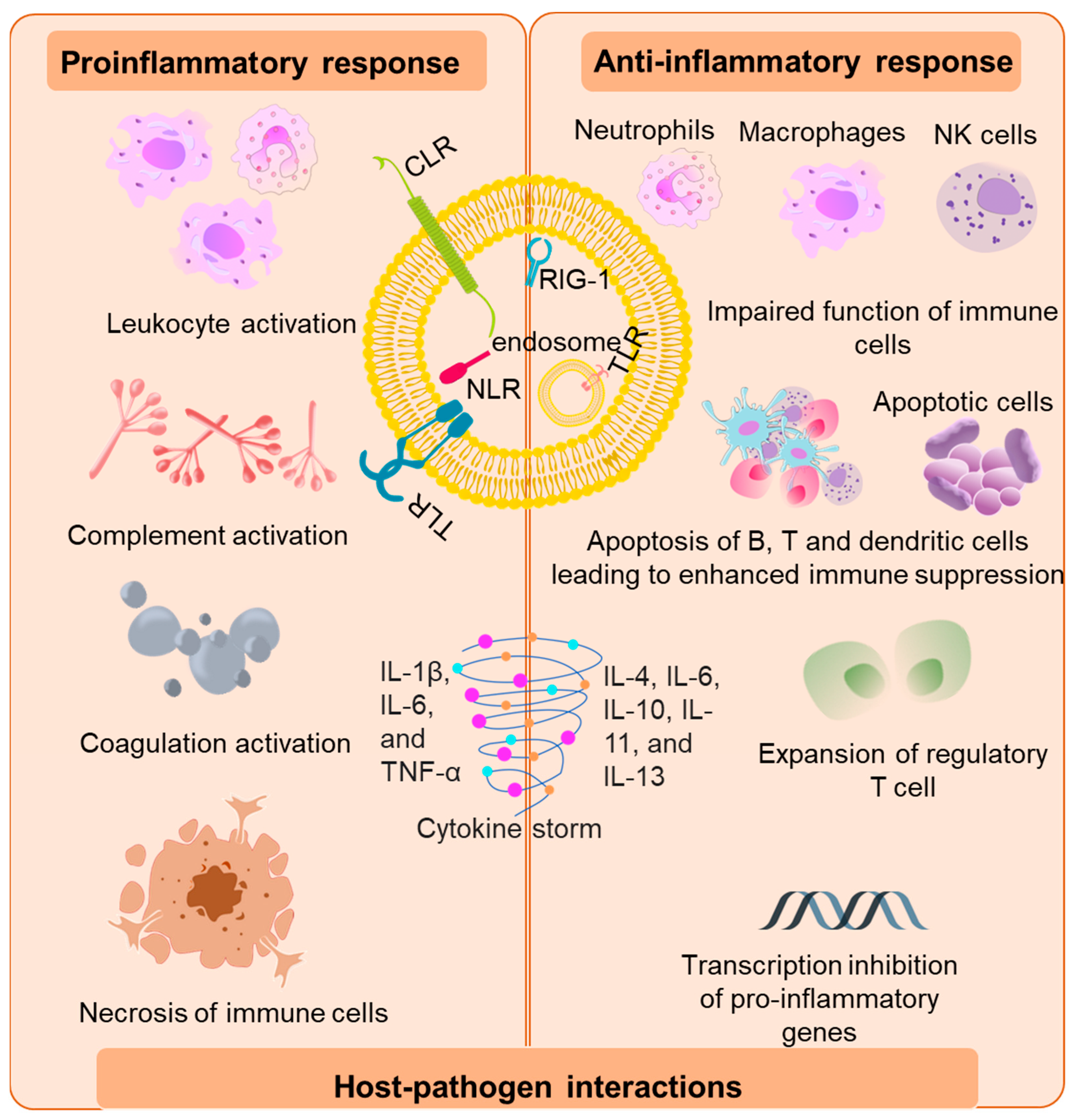 Biomedicines 11 00765 g001 Biomedicines 11 00765 g001