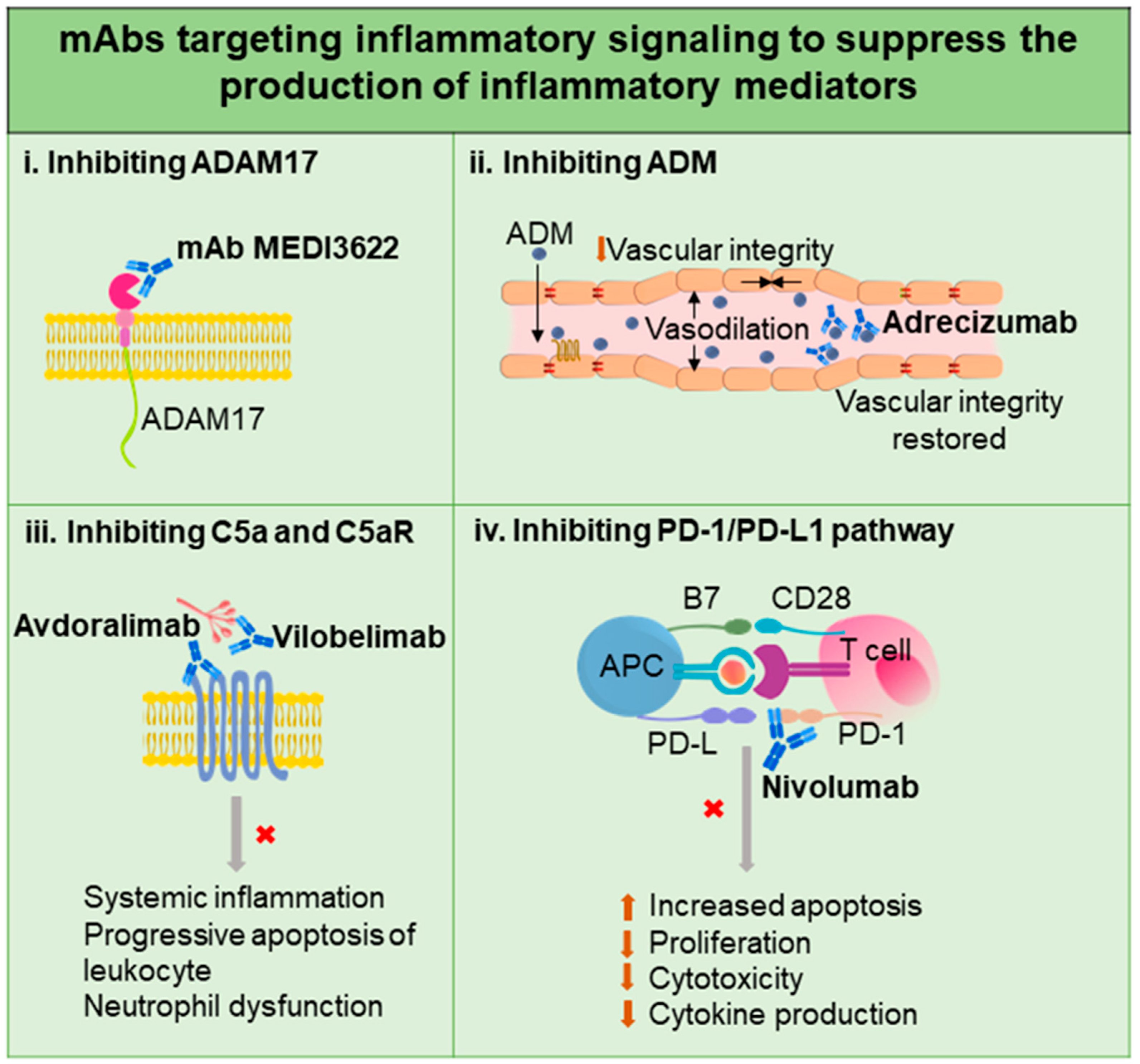 Biomedicines 11 00765 g003 Biomedicines 11 00765 g003