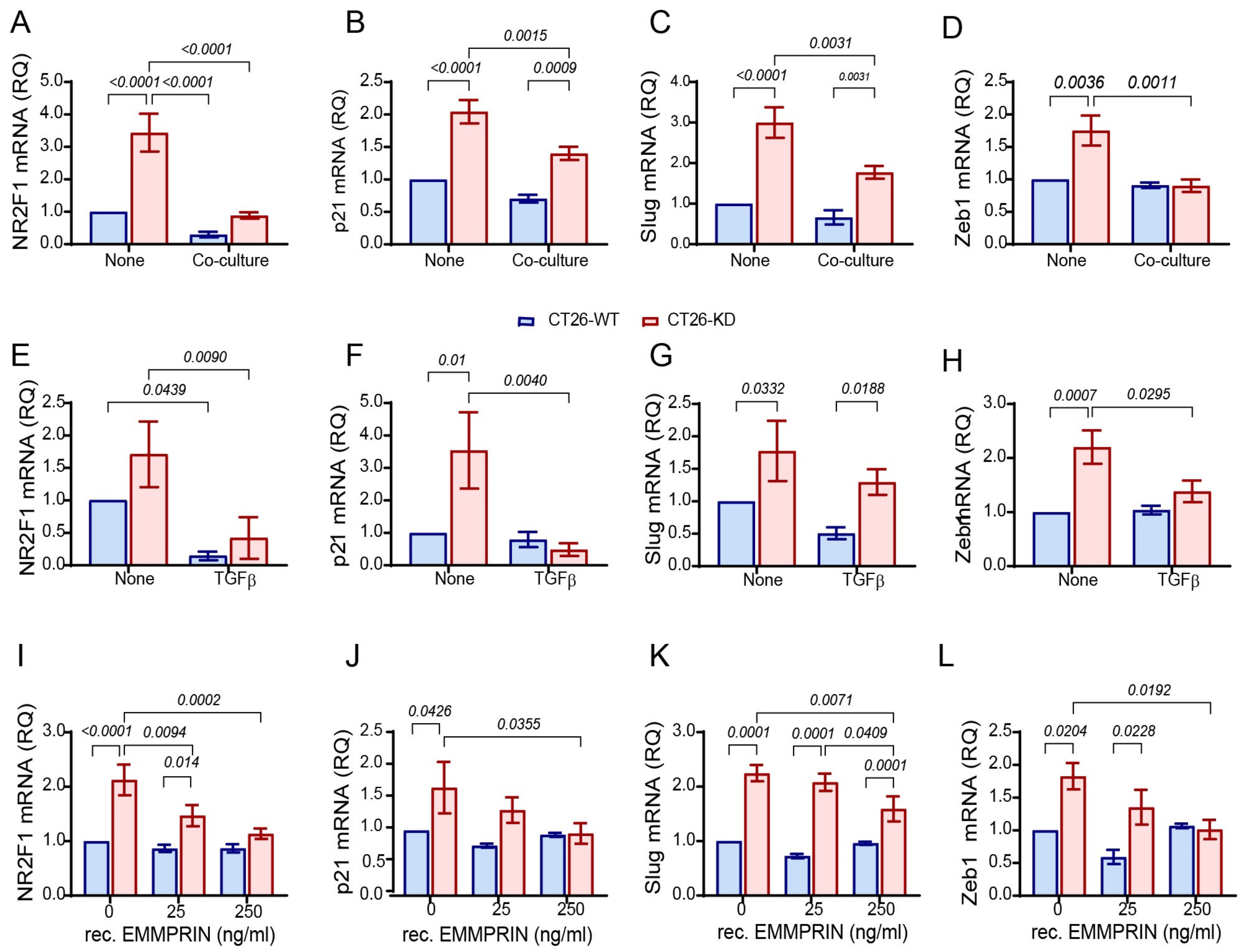 Biomedicines 11 00768 g004 Biomedicines 11 00768 g004
