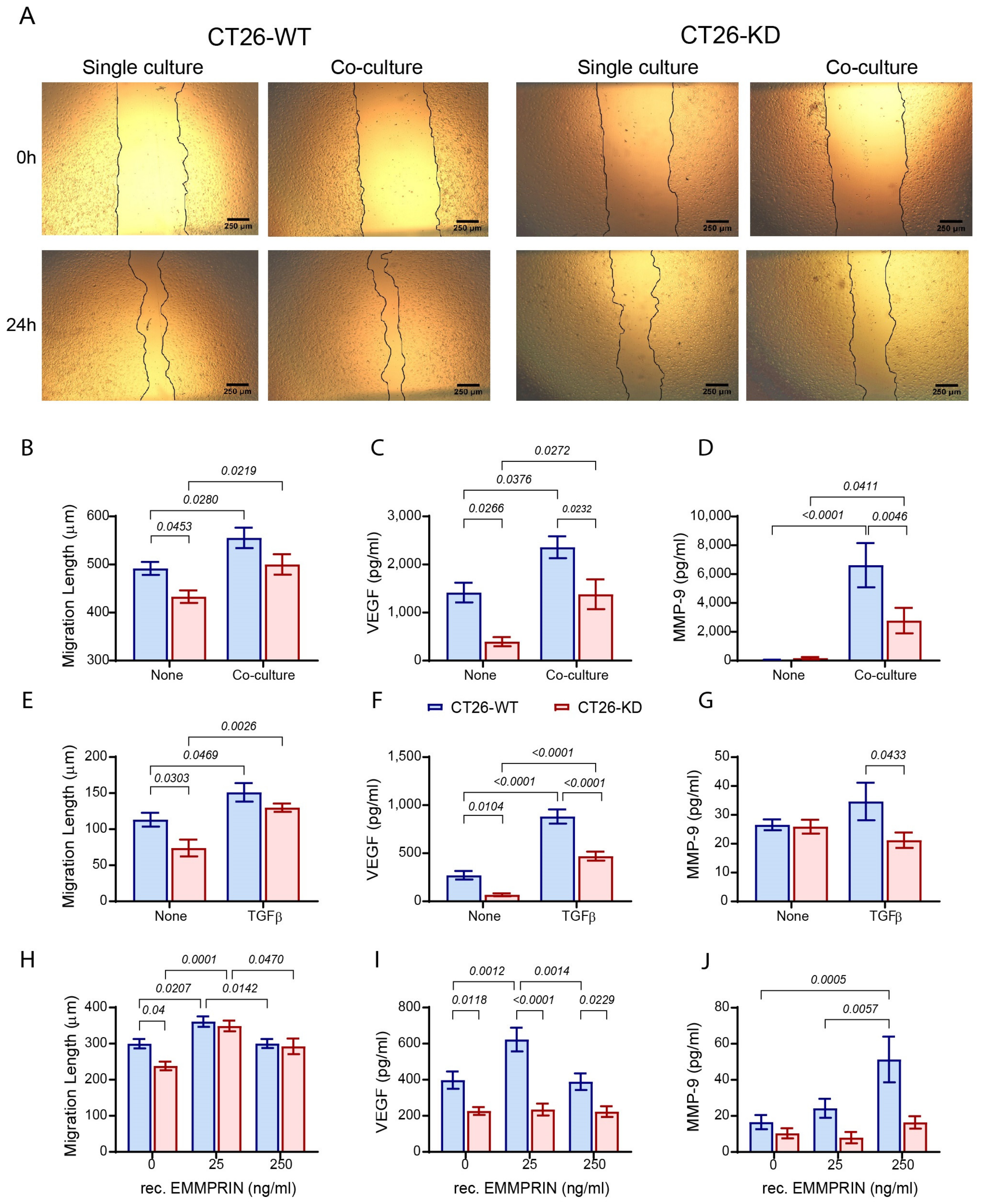 Biomedicines 11 00768 g006 Biomedicines 11 00768 g006