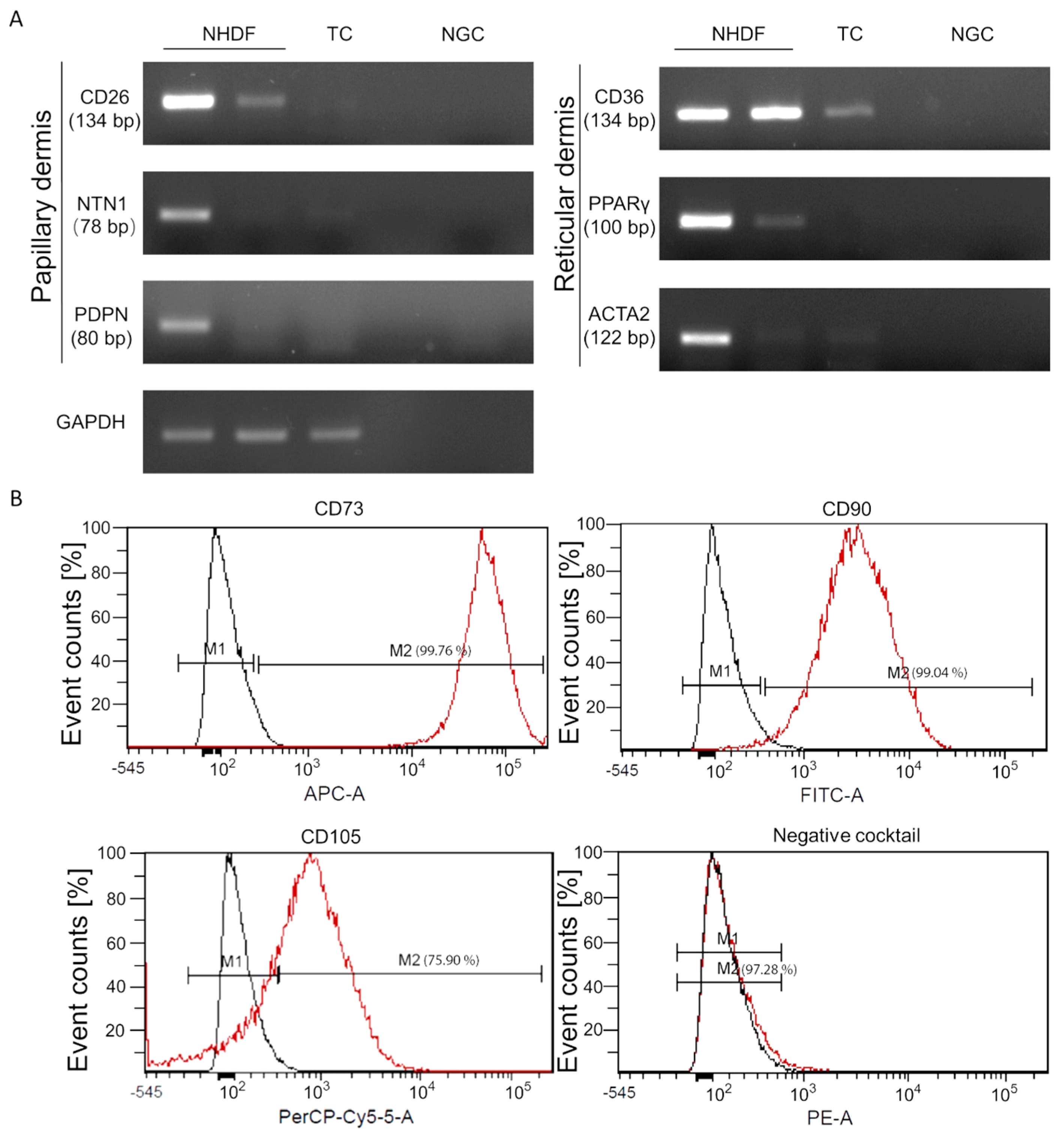 Biomedicines 11 00772 g001