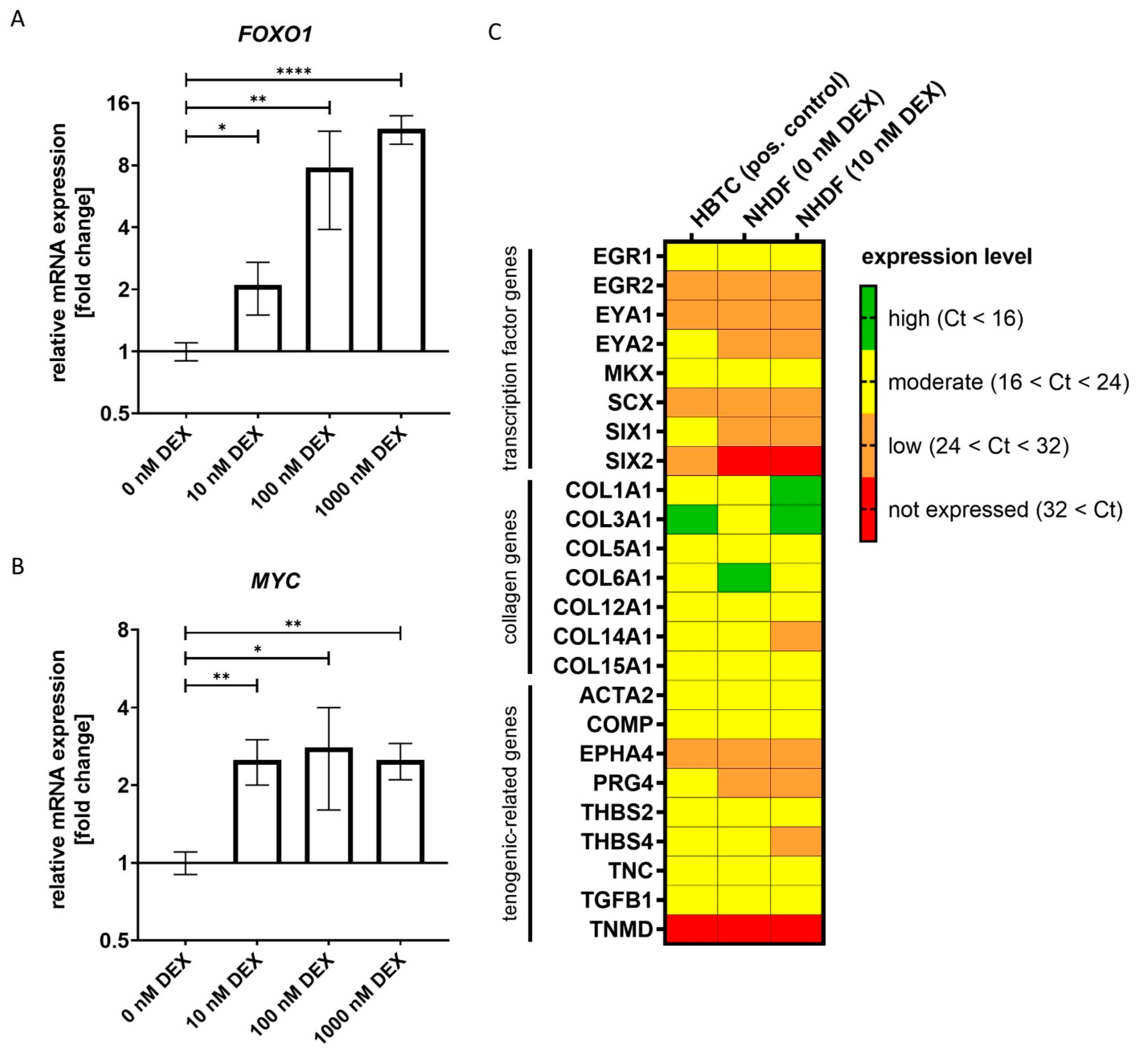 Biomedicines 11 00772 g007