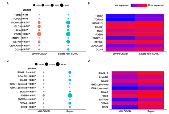 Parallel Dysregulated Immune Response in Severe Forms of