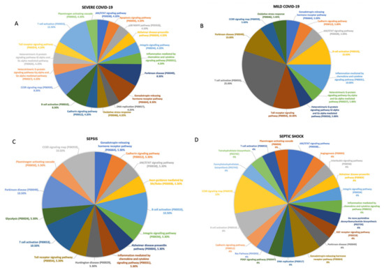Parallel Dysregulated Immune Response in Severe Forms of