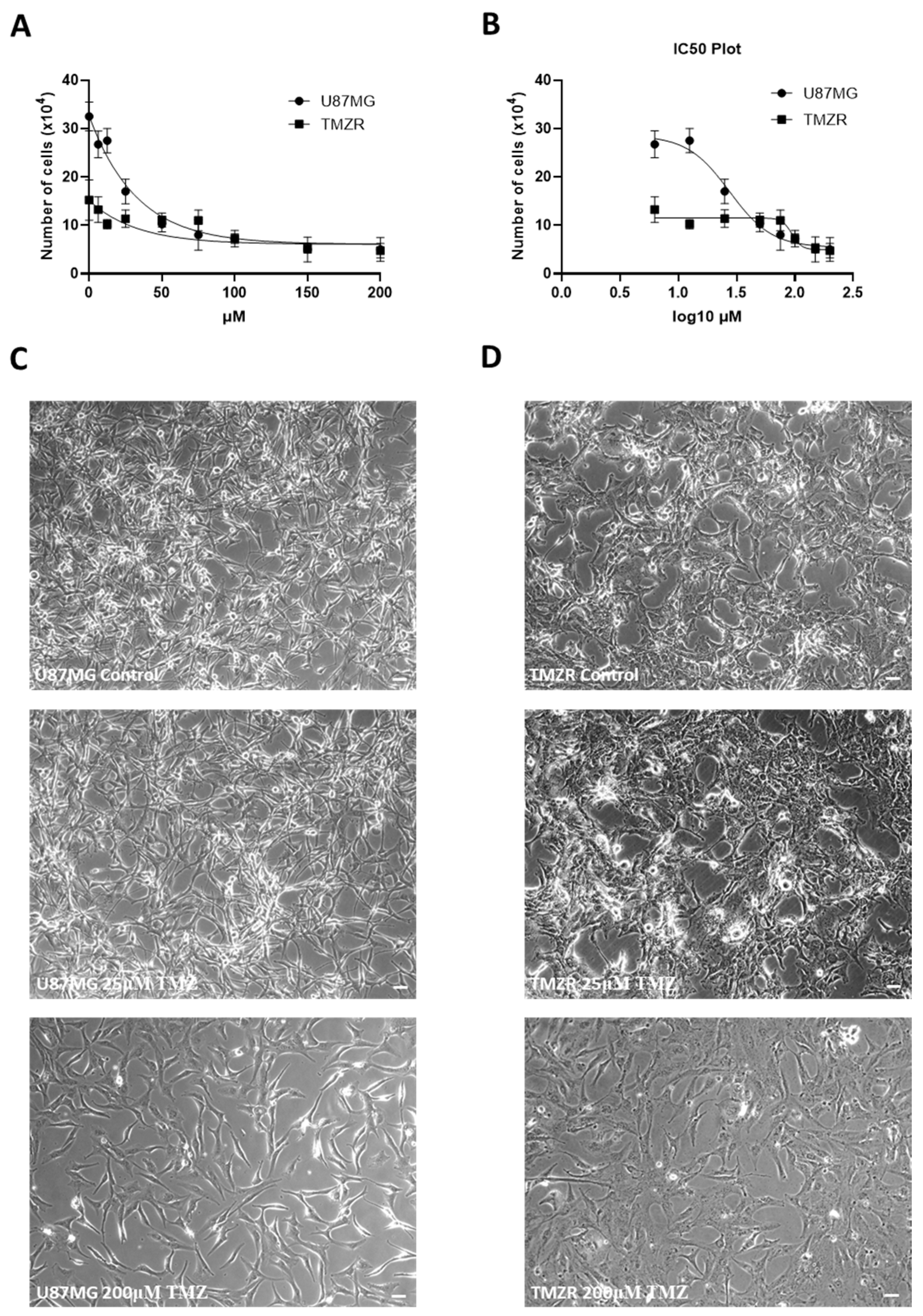 Biomedicines 11 00779 g001