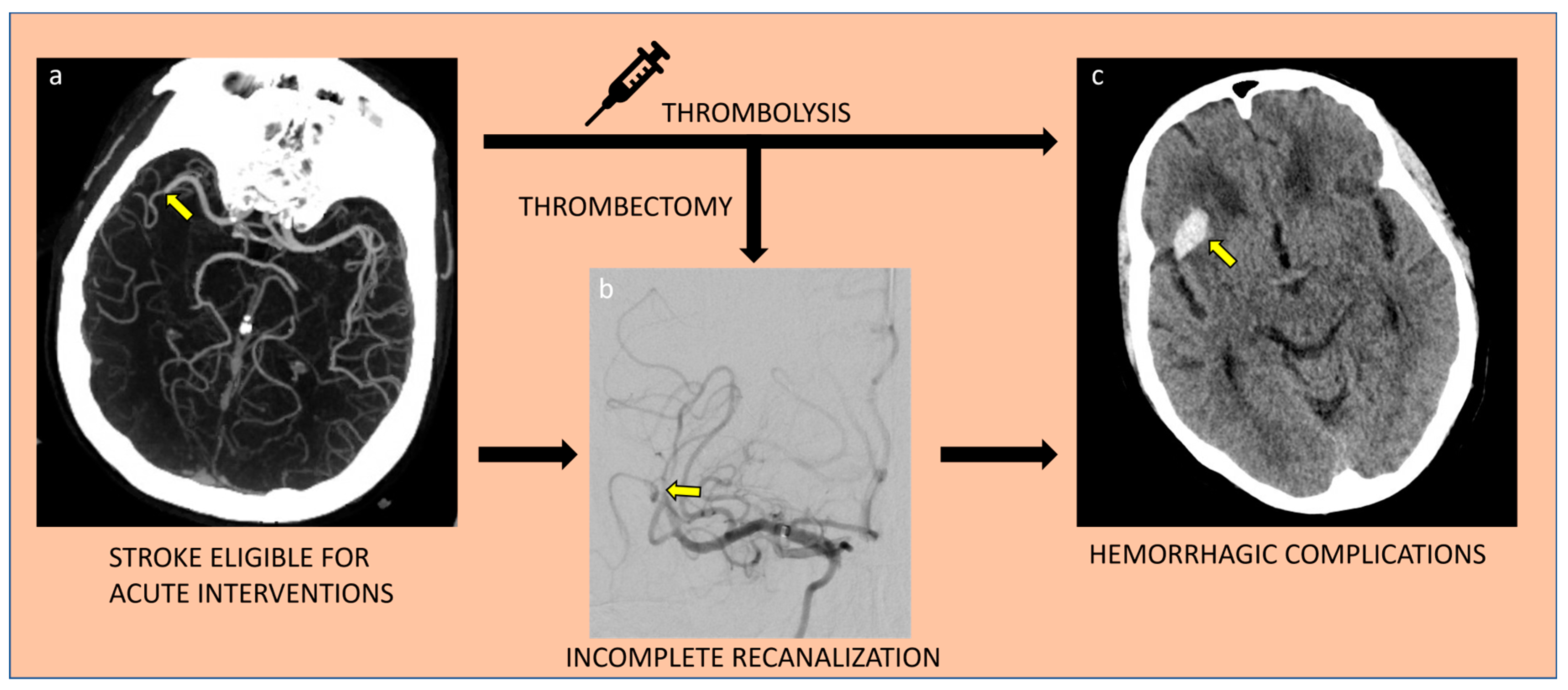 Biomedicines 11 00780 g002 Biomedicines 11 00780 g002