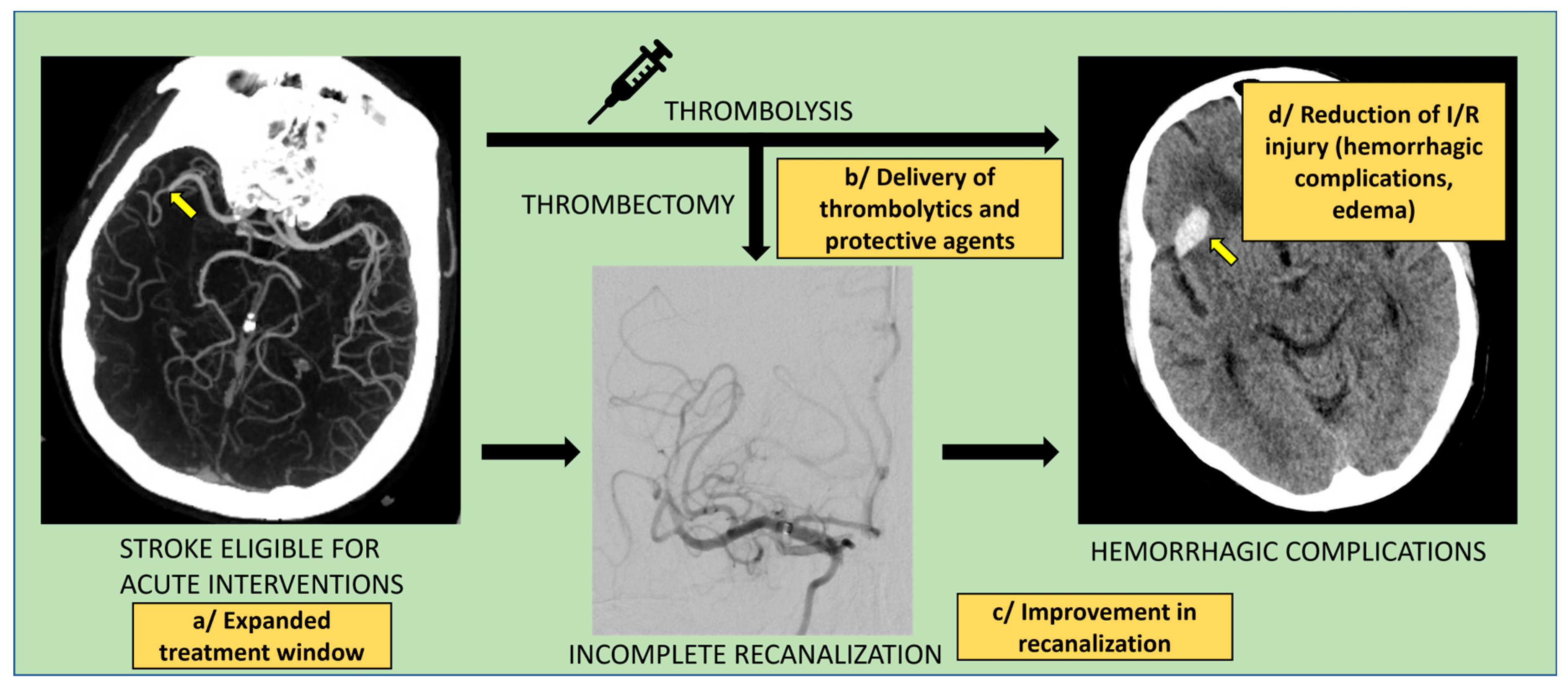Biomedicines 11 00780 g004 Biomedicines 11 00780 g004