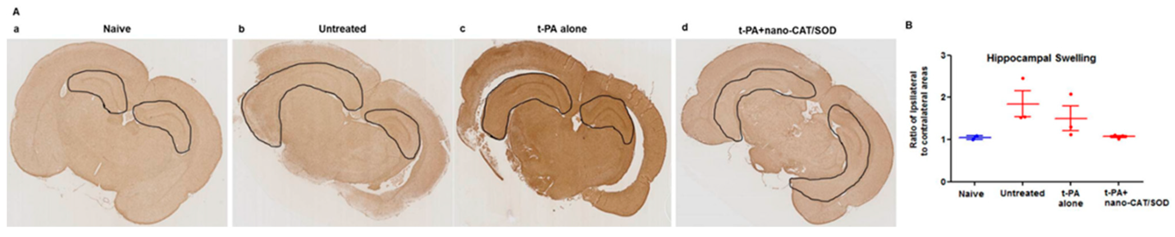Biomedicines 11 00780 g006 Biomedicines 11 00780 g006