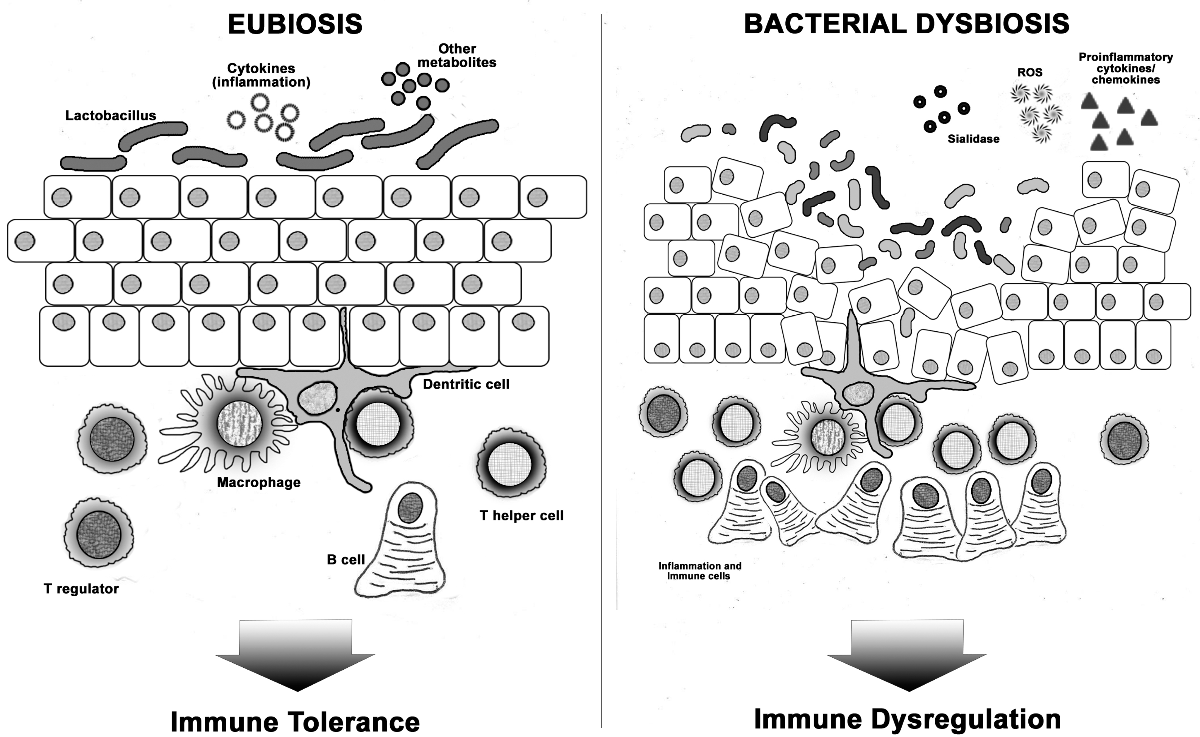 Biomedicines 11 00782 g001 Biomedicines 11 00782 g001