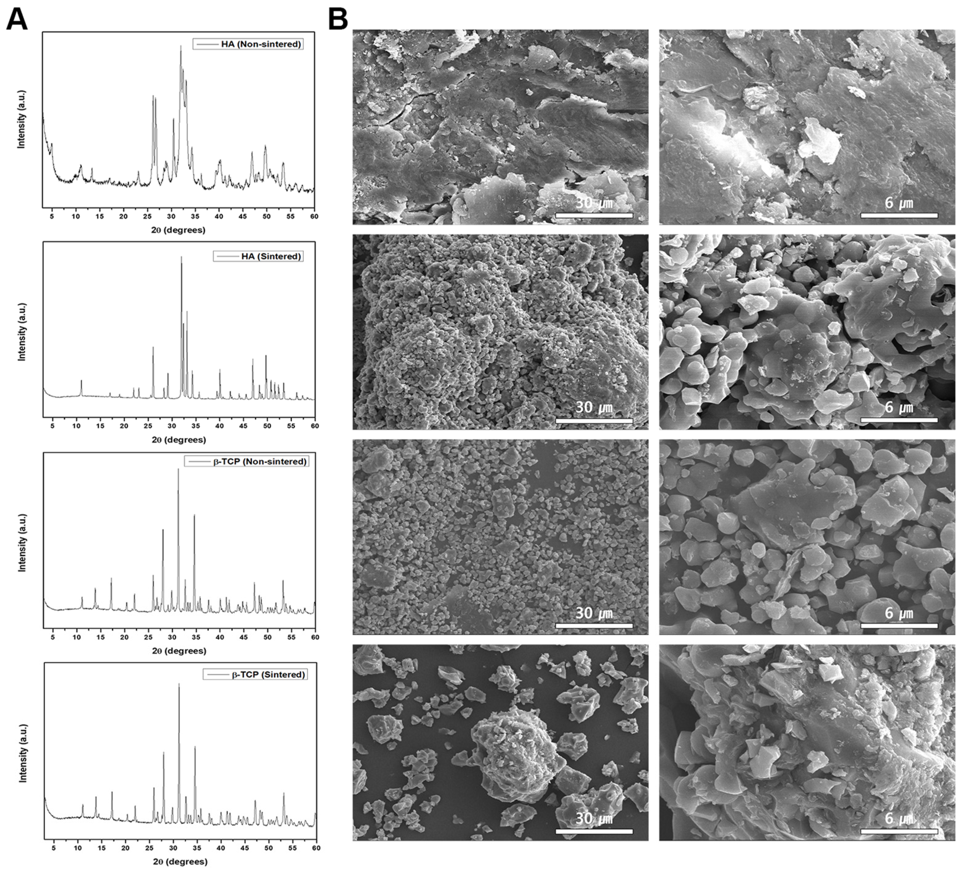 Biomedicines 11 00785 g001