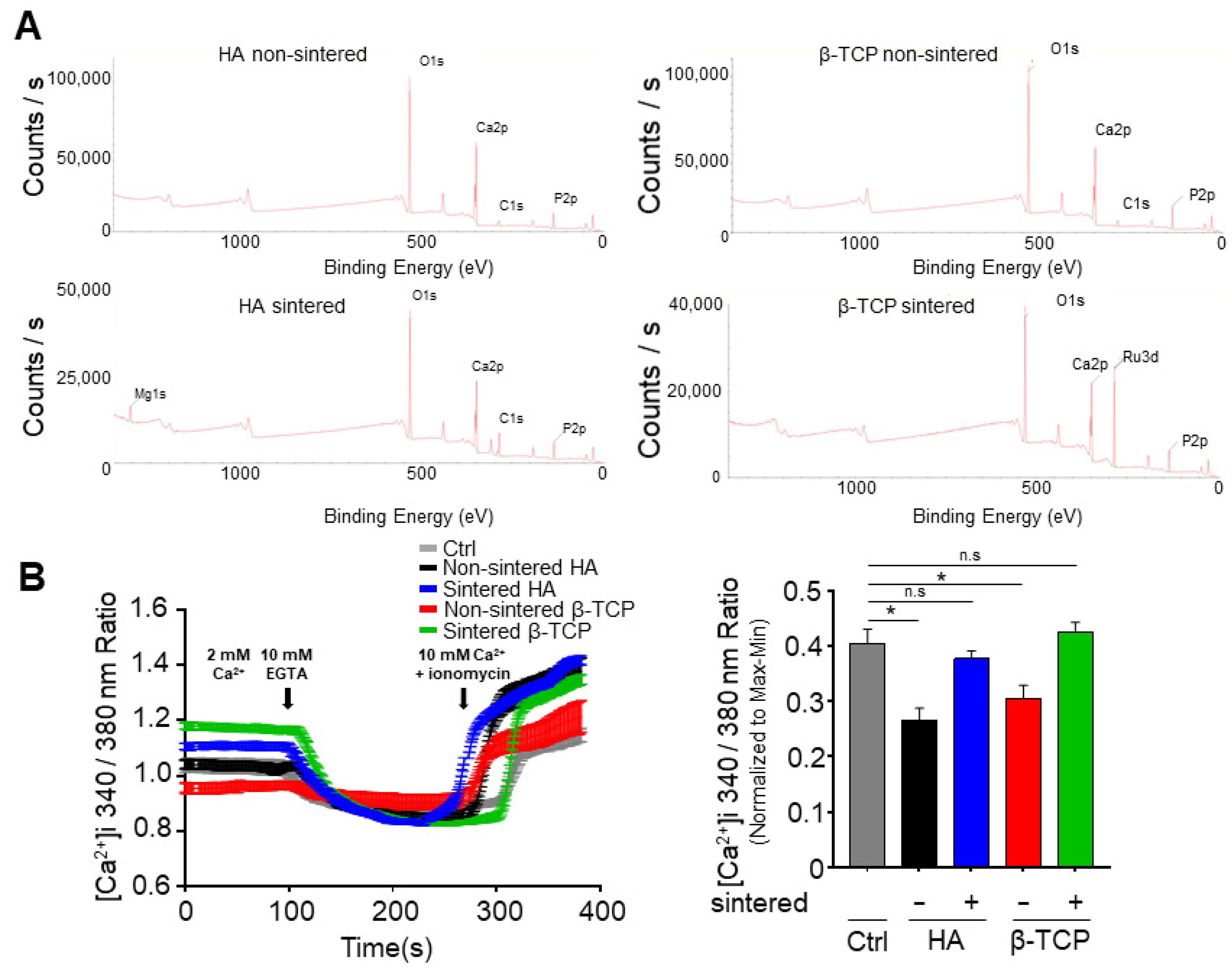 Biomedicines 11 00785 g002